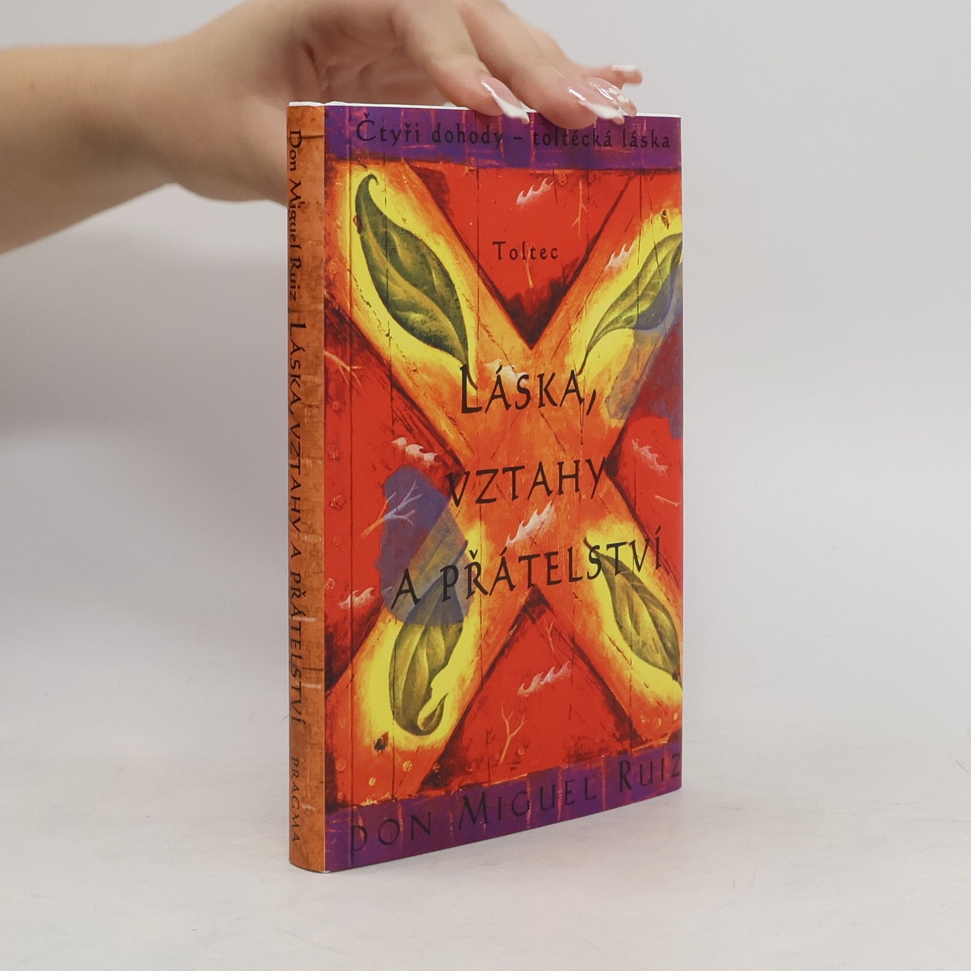 Don Miguel Ruiz Láska, vztahy a přátelství