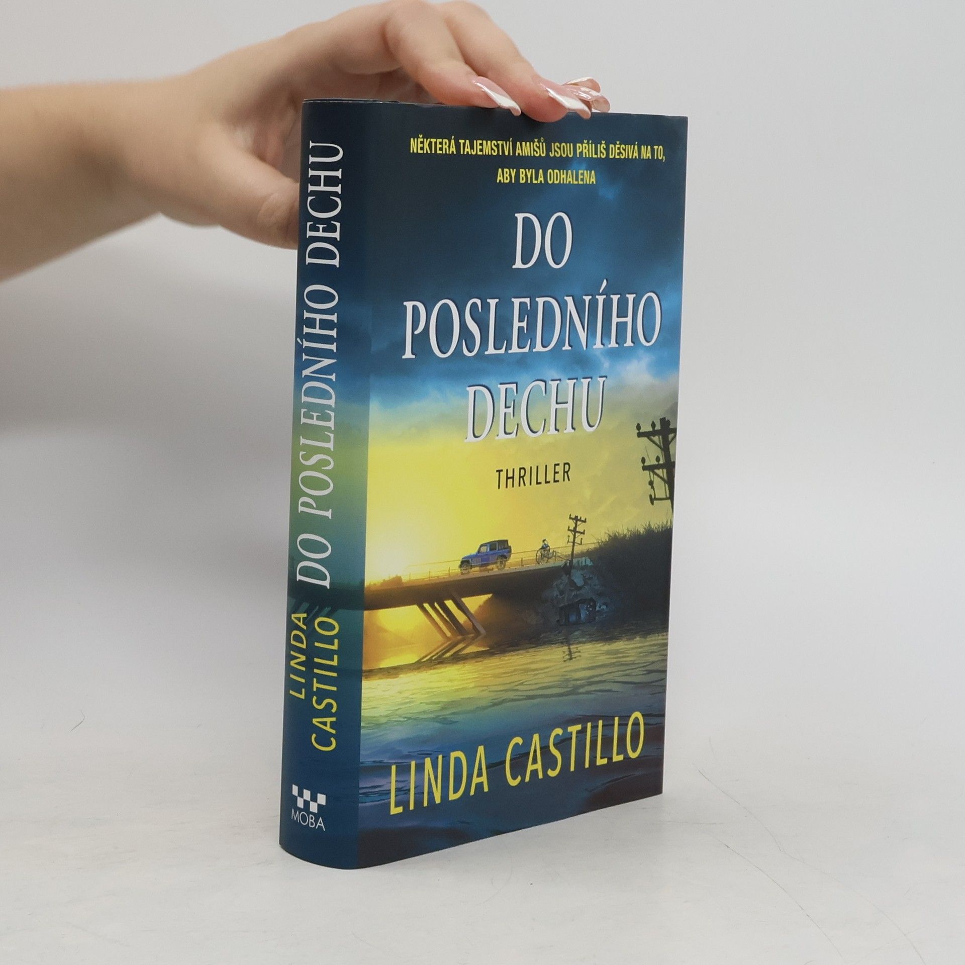 Linda Castillo Do posledního dechu