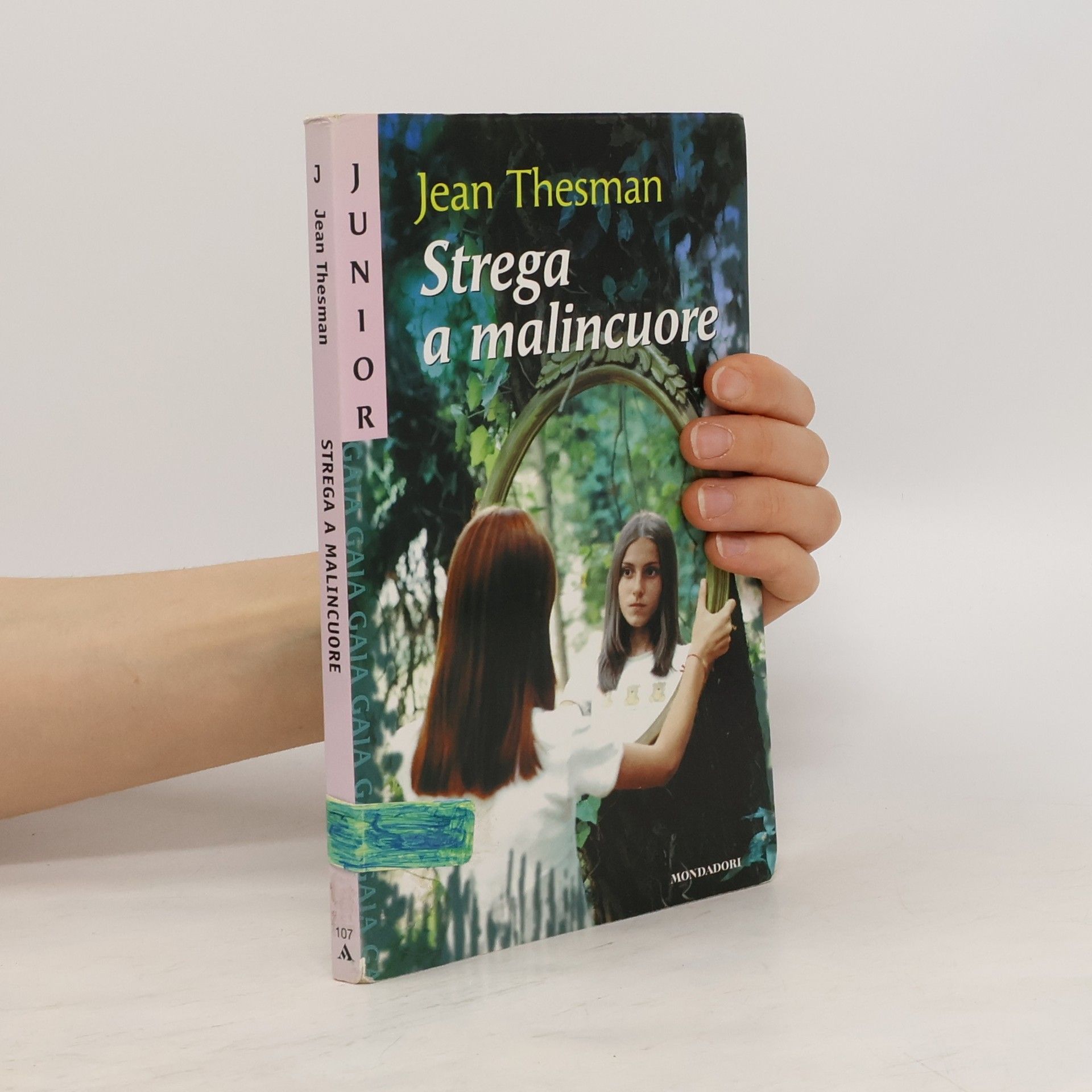 Jean Thesman Strega a malincuore