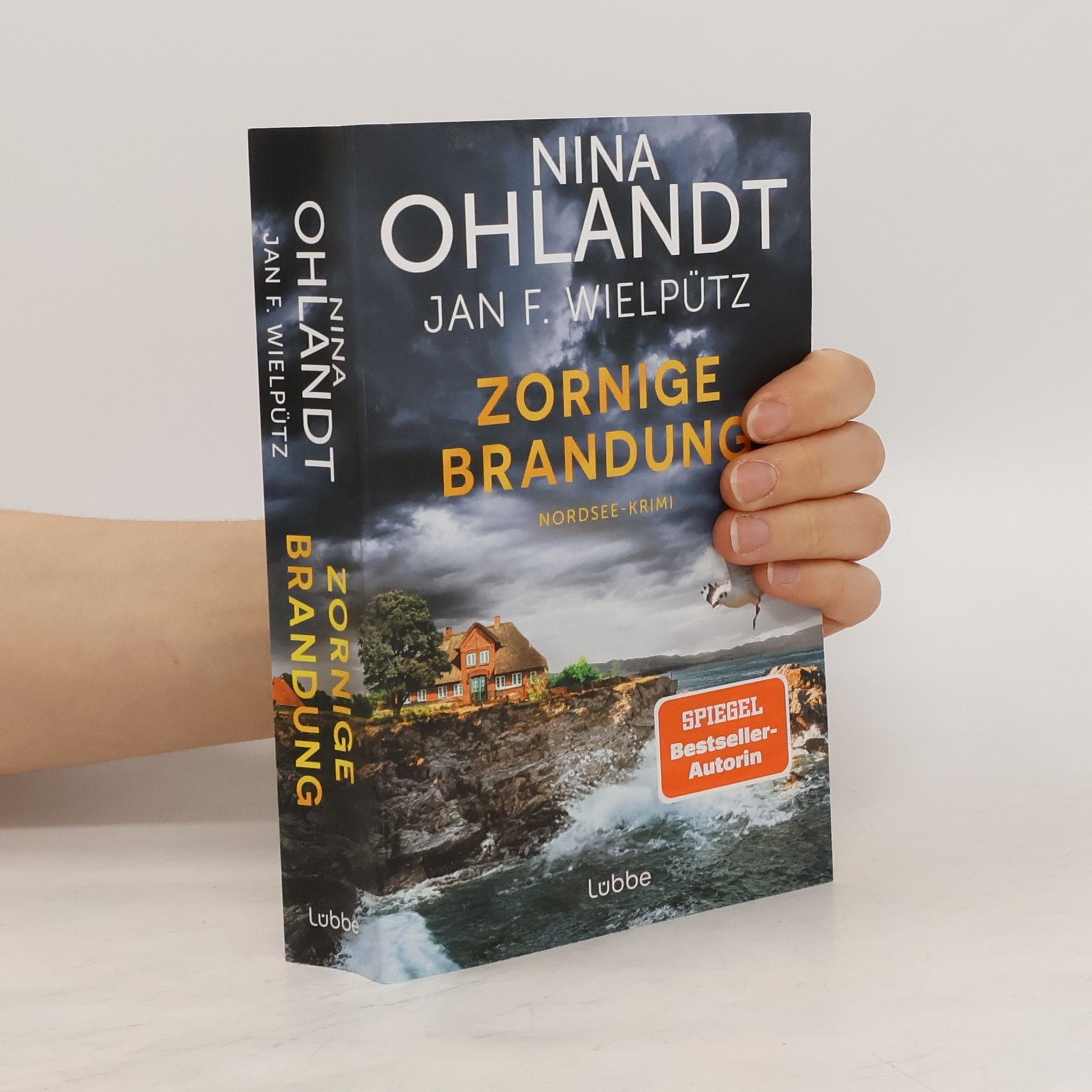 Nina Ohlandt Zornige Brandung