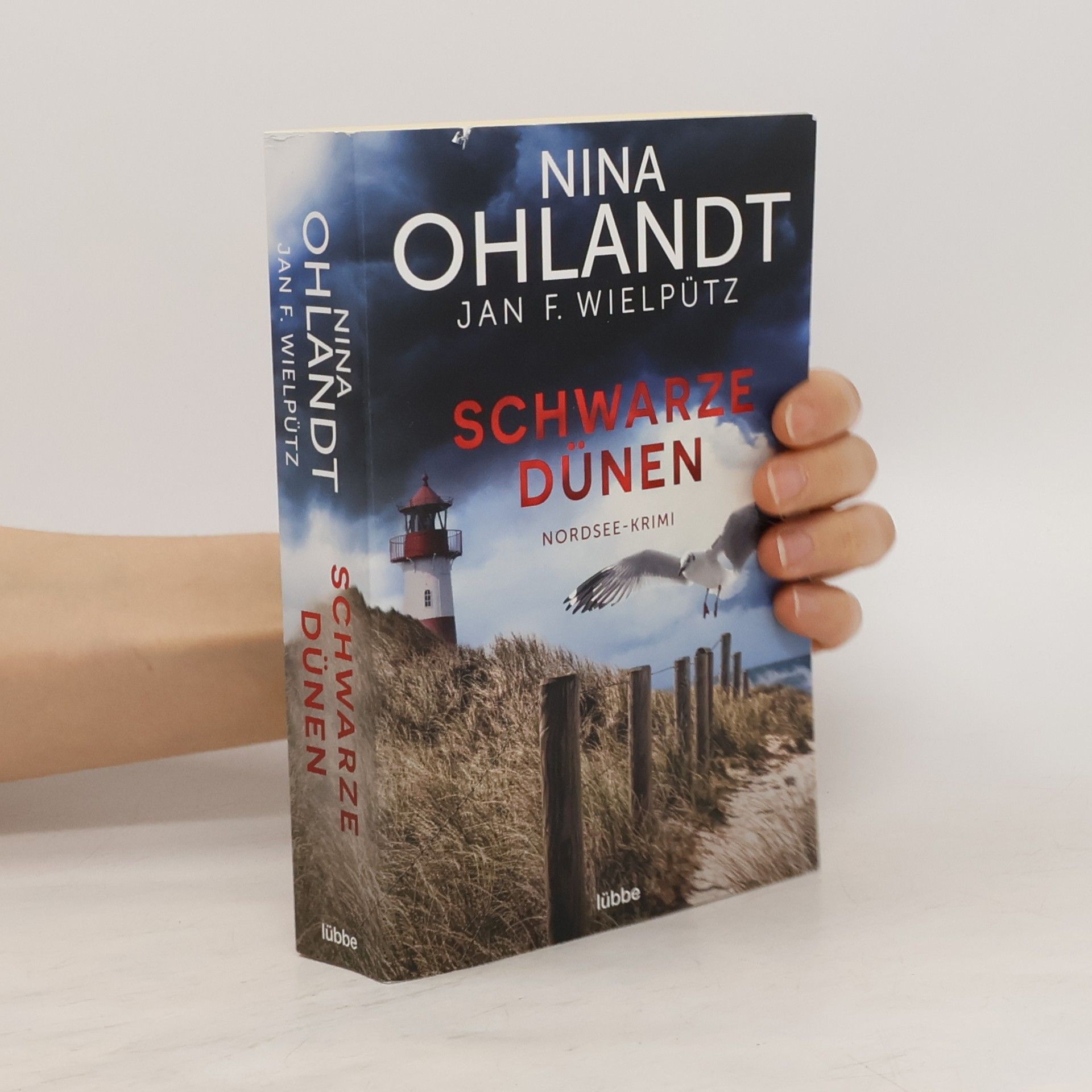 Nina Ohlandt Schwarze Dünen