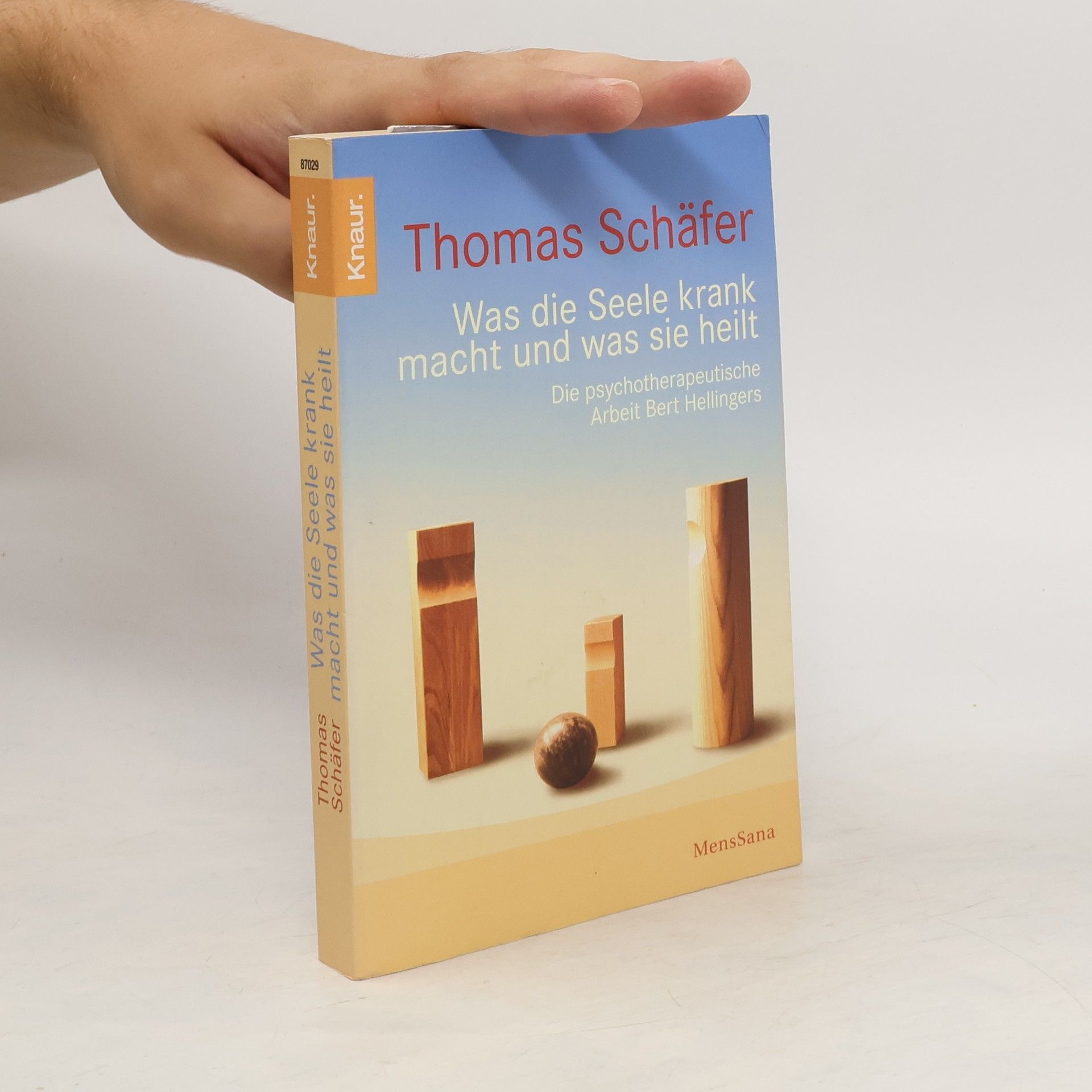 Thomas Schäfer Was die Seele krank macht und was sie heilt