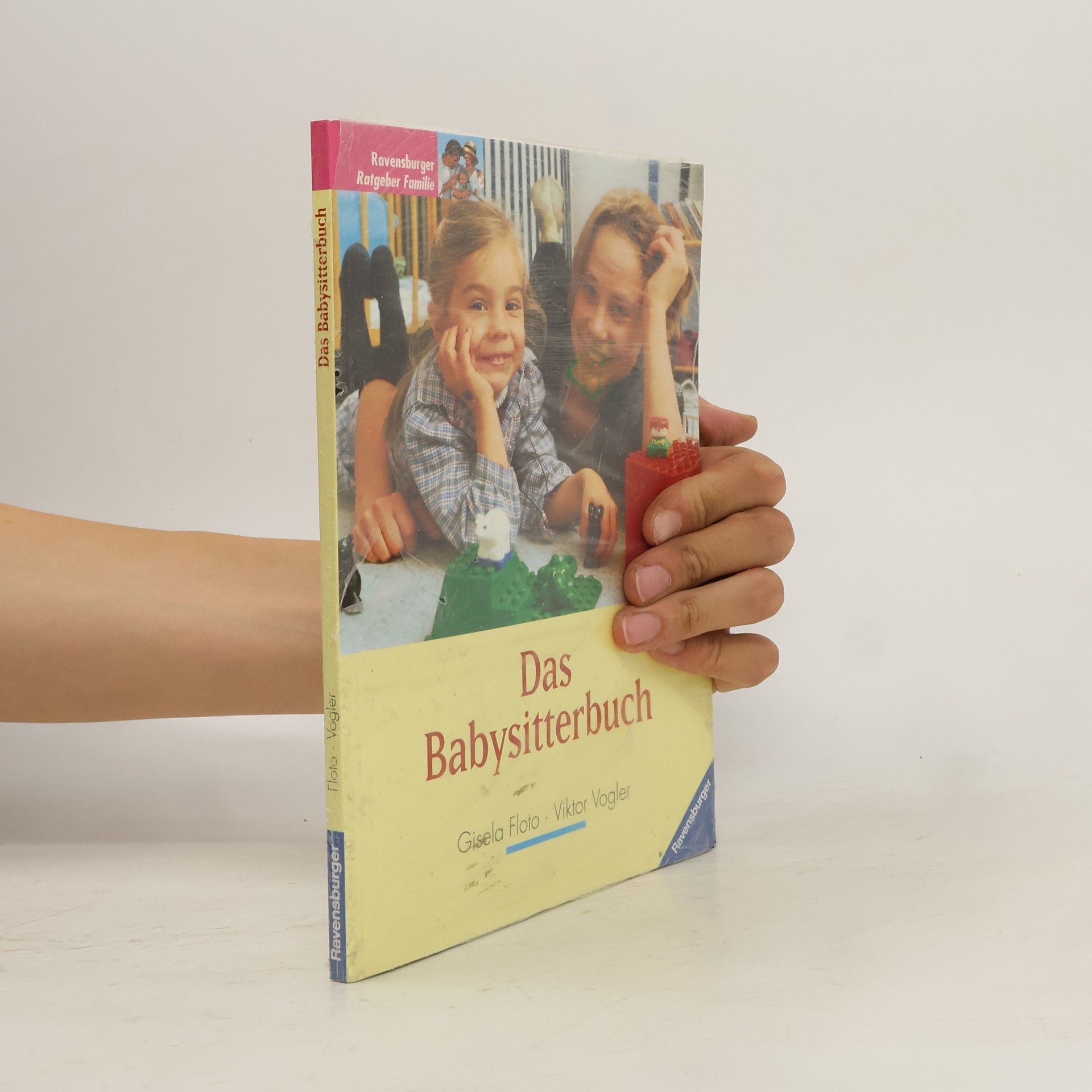 Gisela Floto Das Babysitterbuch