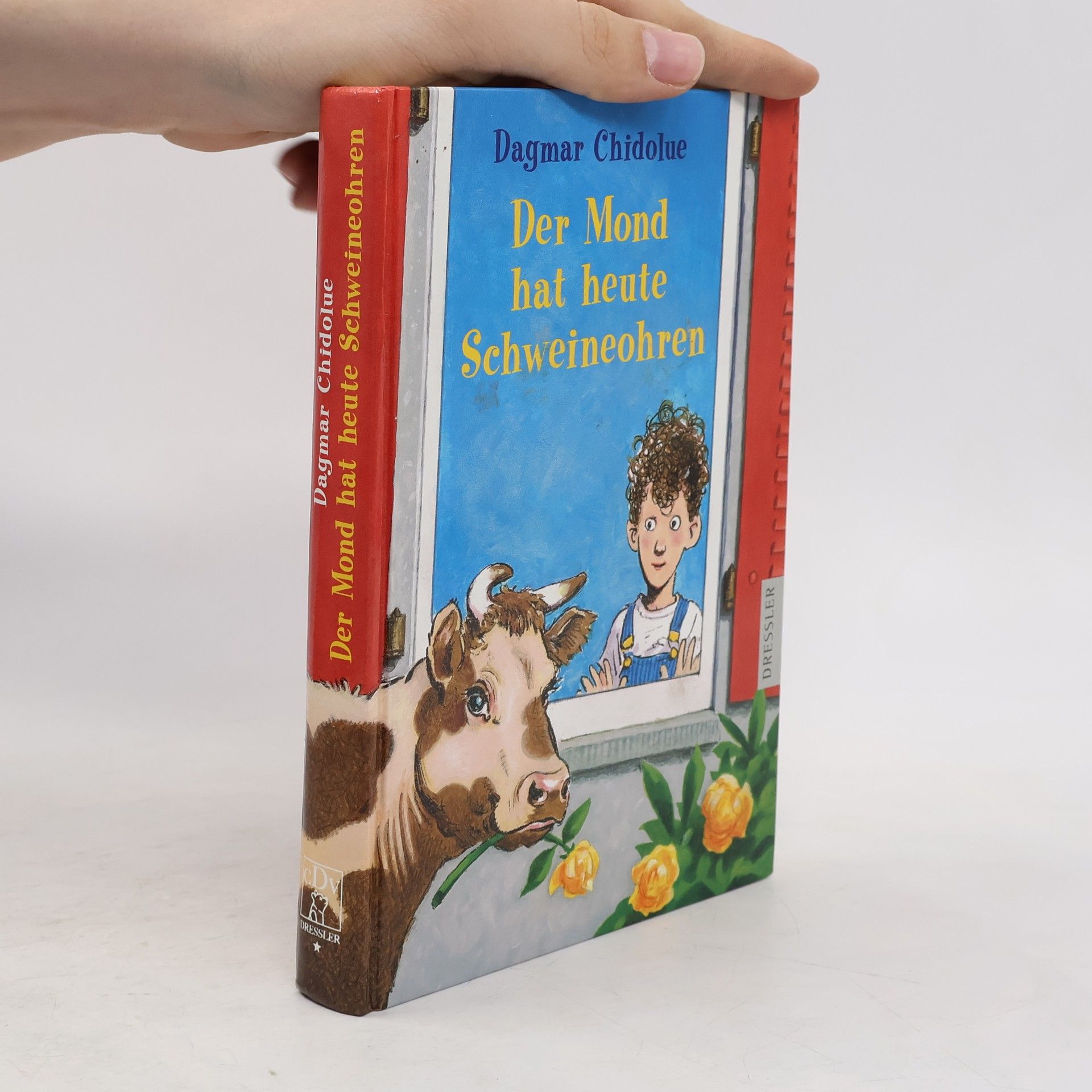 Dagmar Chidolue Der Mond hat heute Schweineohren