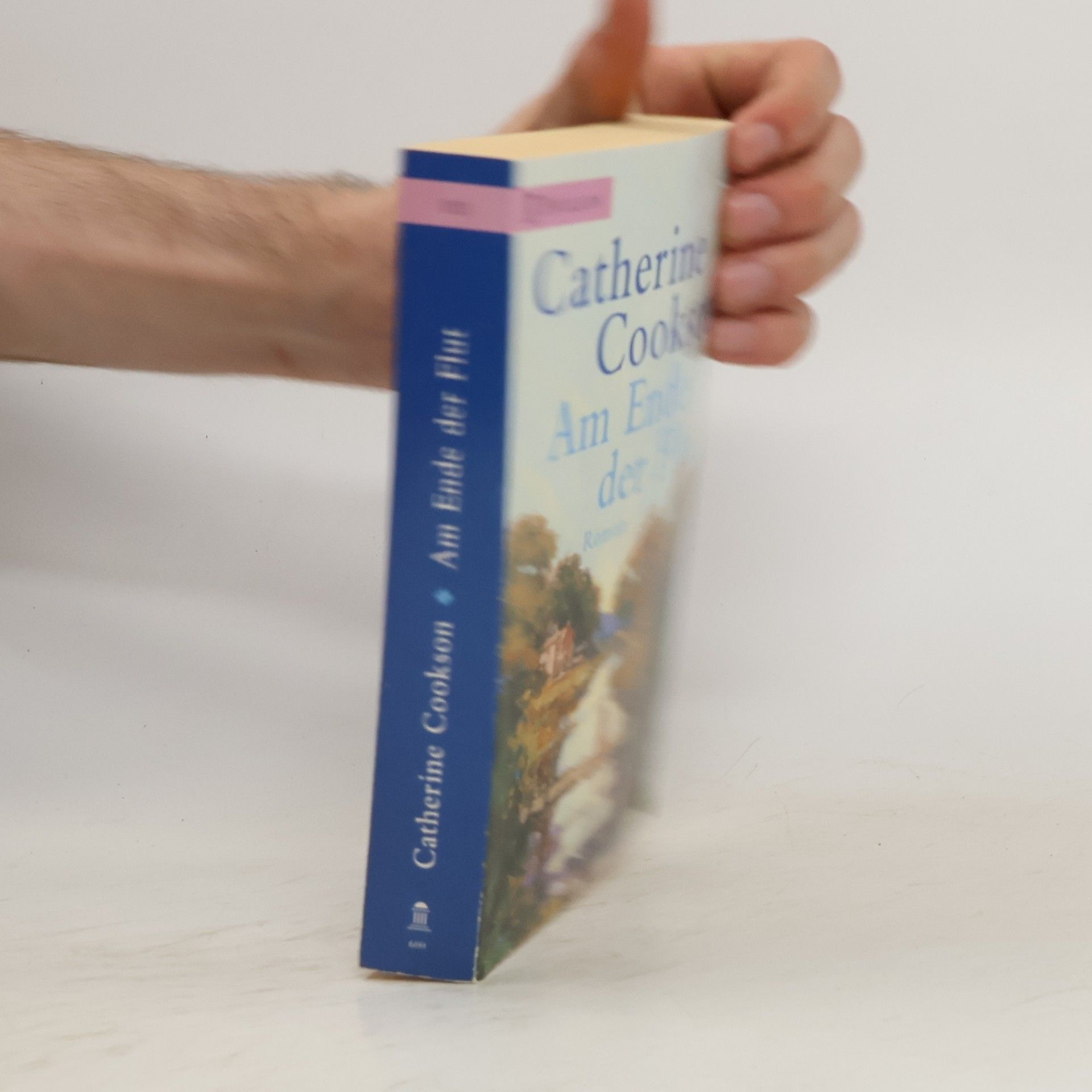 Catherine Cookson Am Ende der Flut