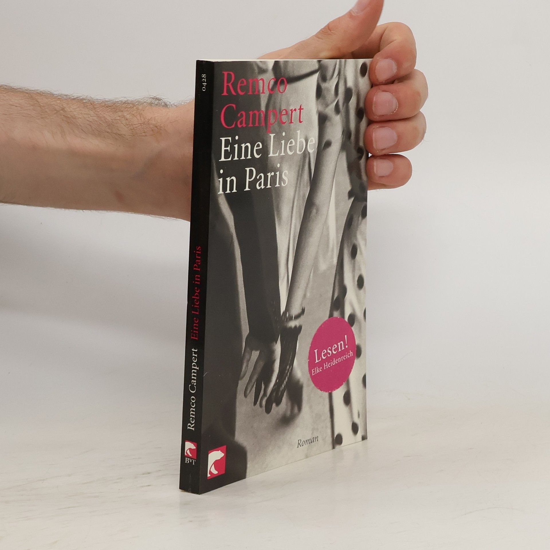 Remco Campert Eine Liebe in Paris