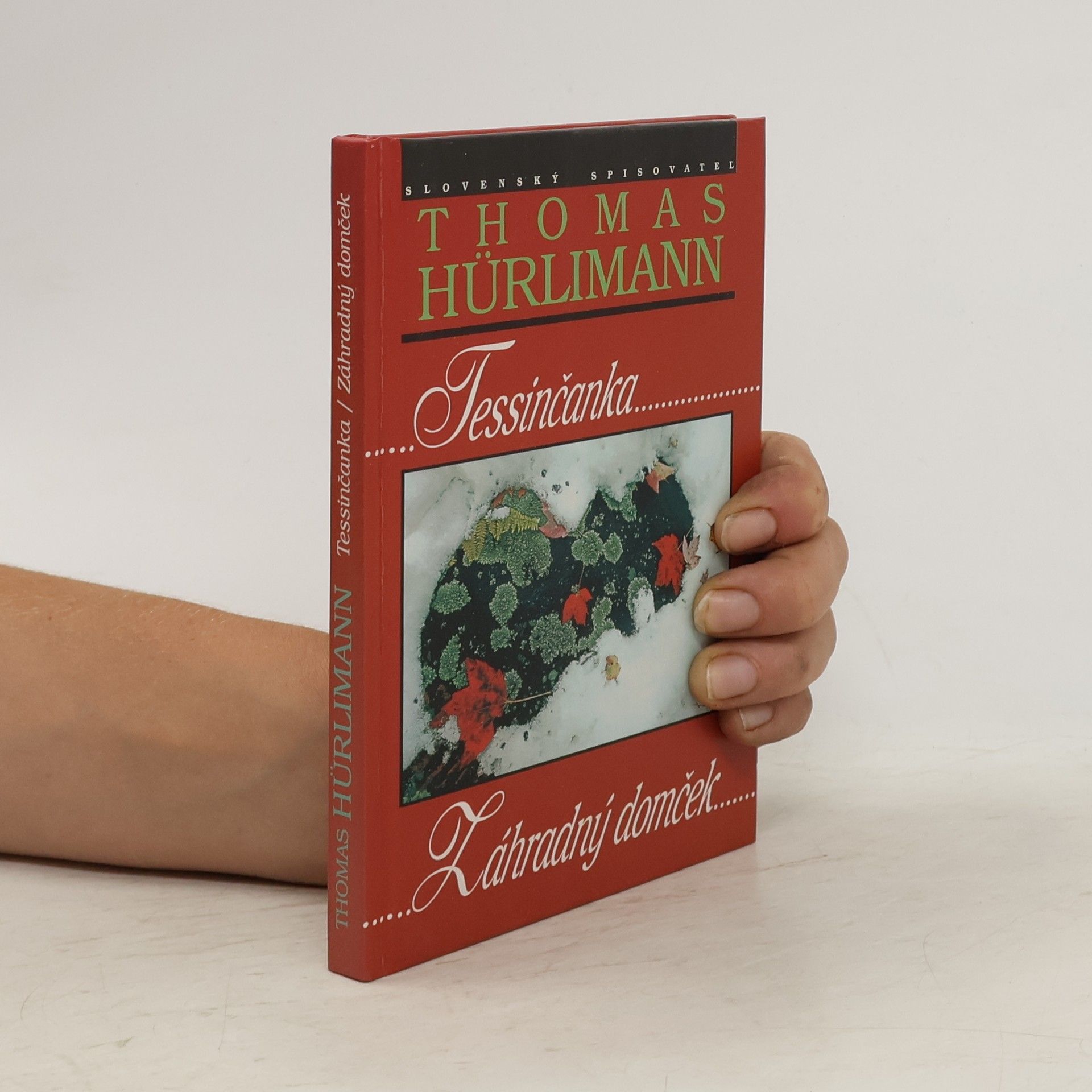 Thomas Hürlimann Tessinčanka, Záhradný domček
