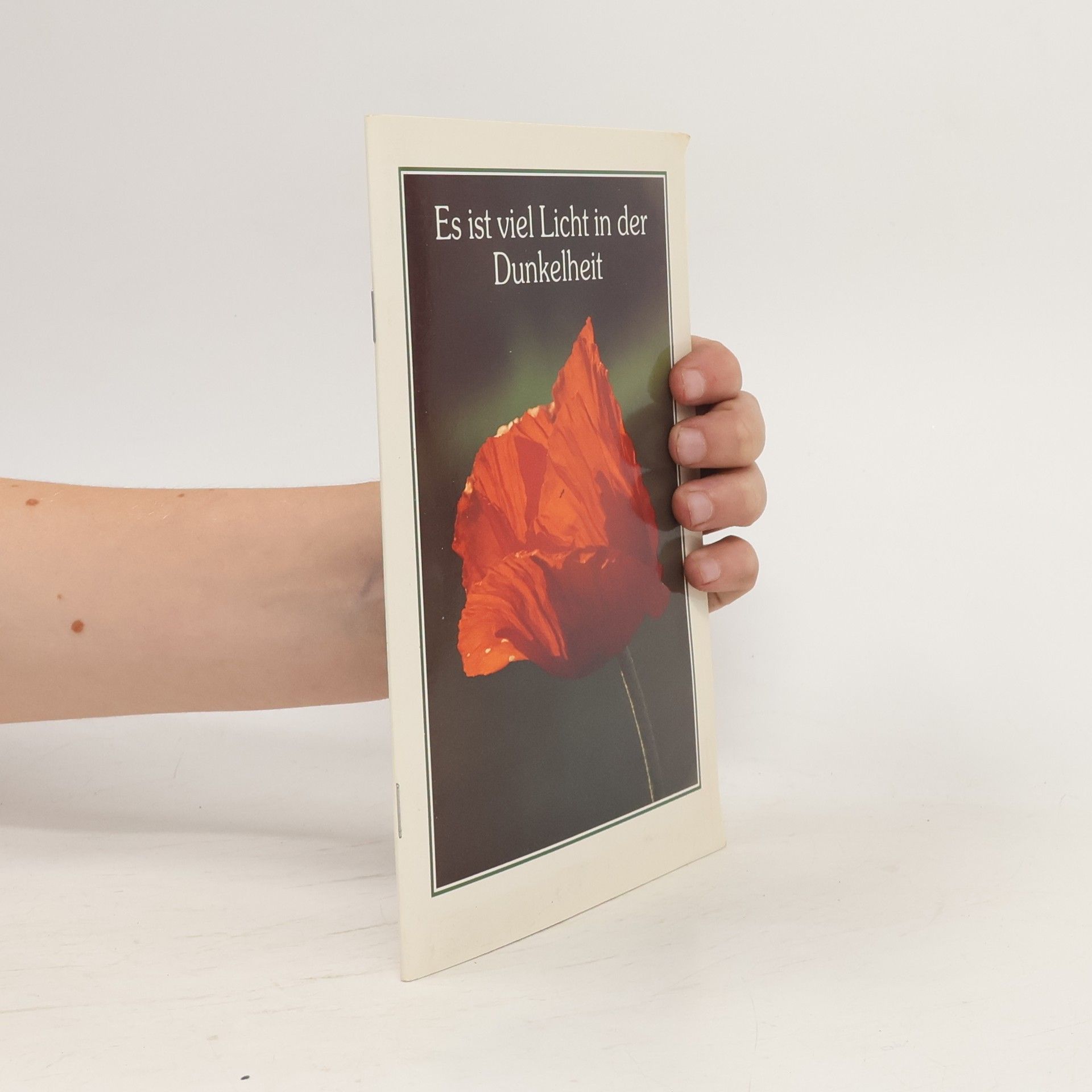 Collectif d'auteurs Es ist viel Licht in der Dunkelheit