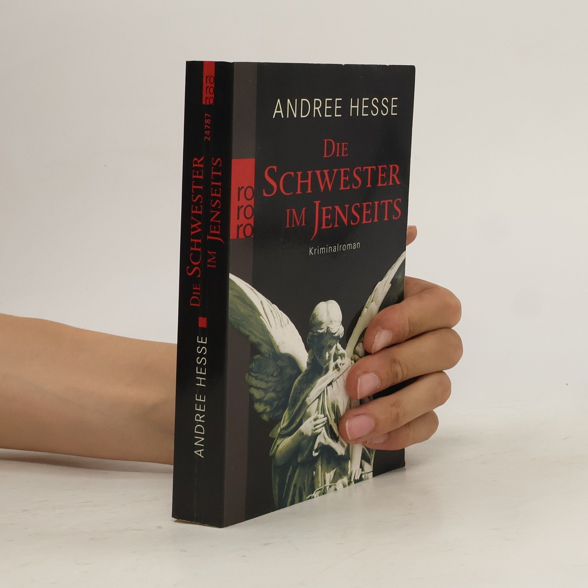 Andree Hesse Die Schwester im Jenseits