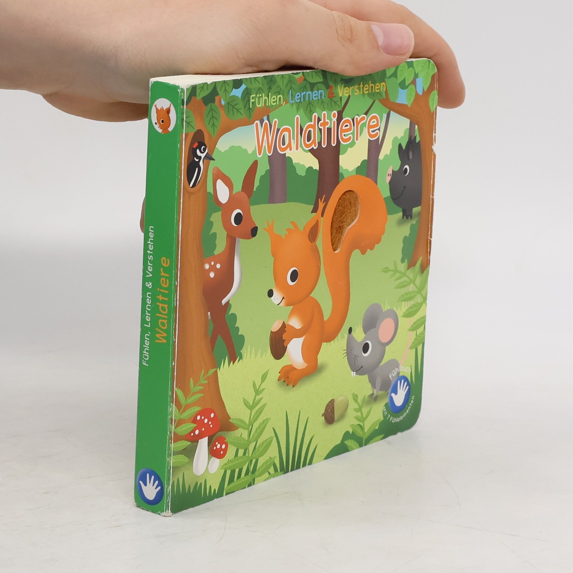 Autorenkollektiv Waldtiere