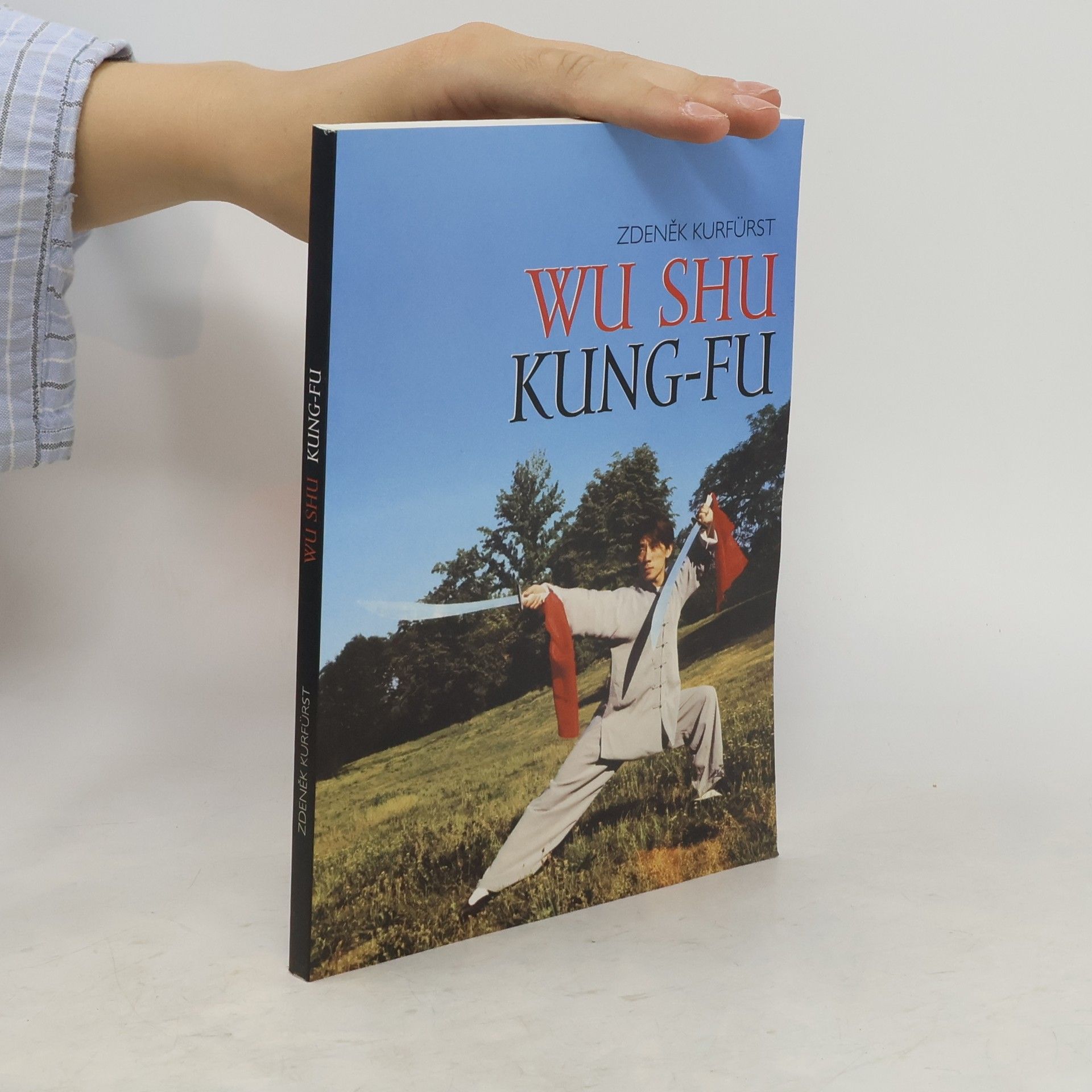 Pavel Brabec Wu shu. Kung-fu