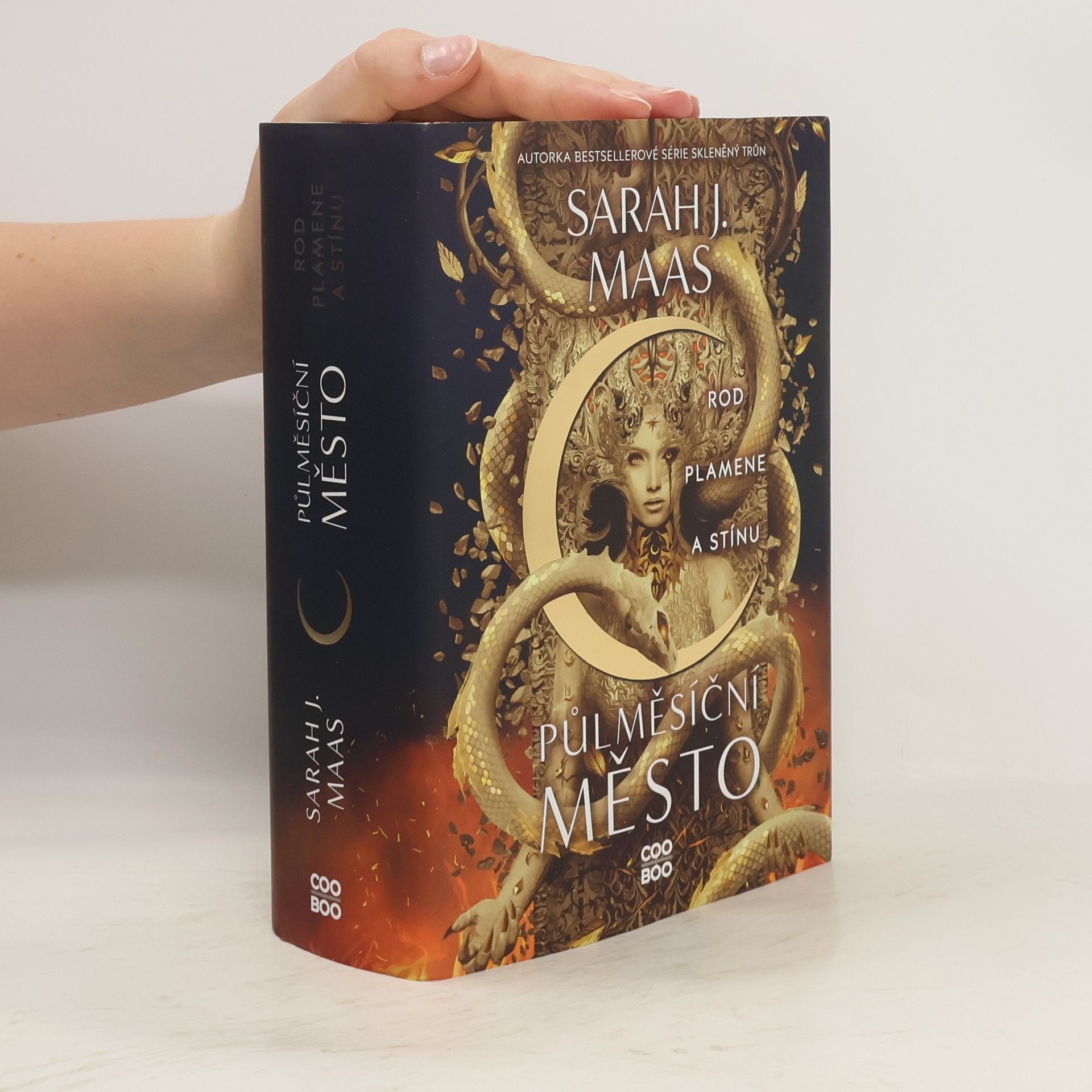 Sarah J. Maas Rod plamene a stínu
