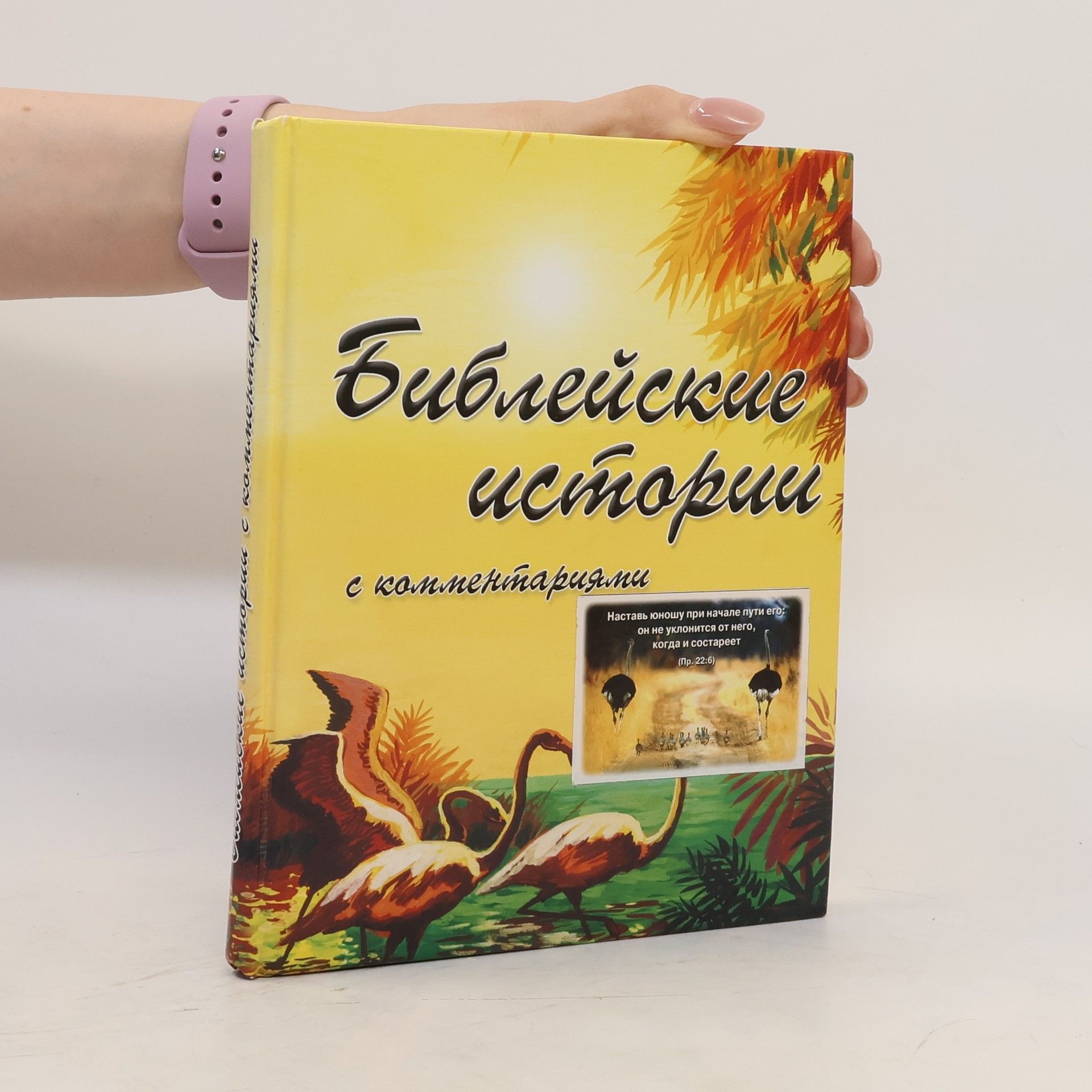 Autorenkollektiv Библейские историй с комментариями