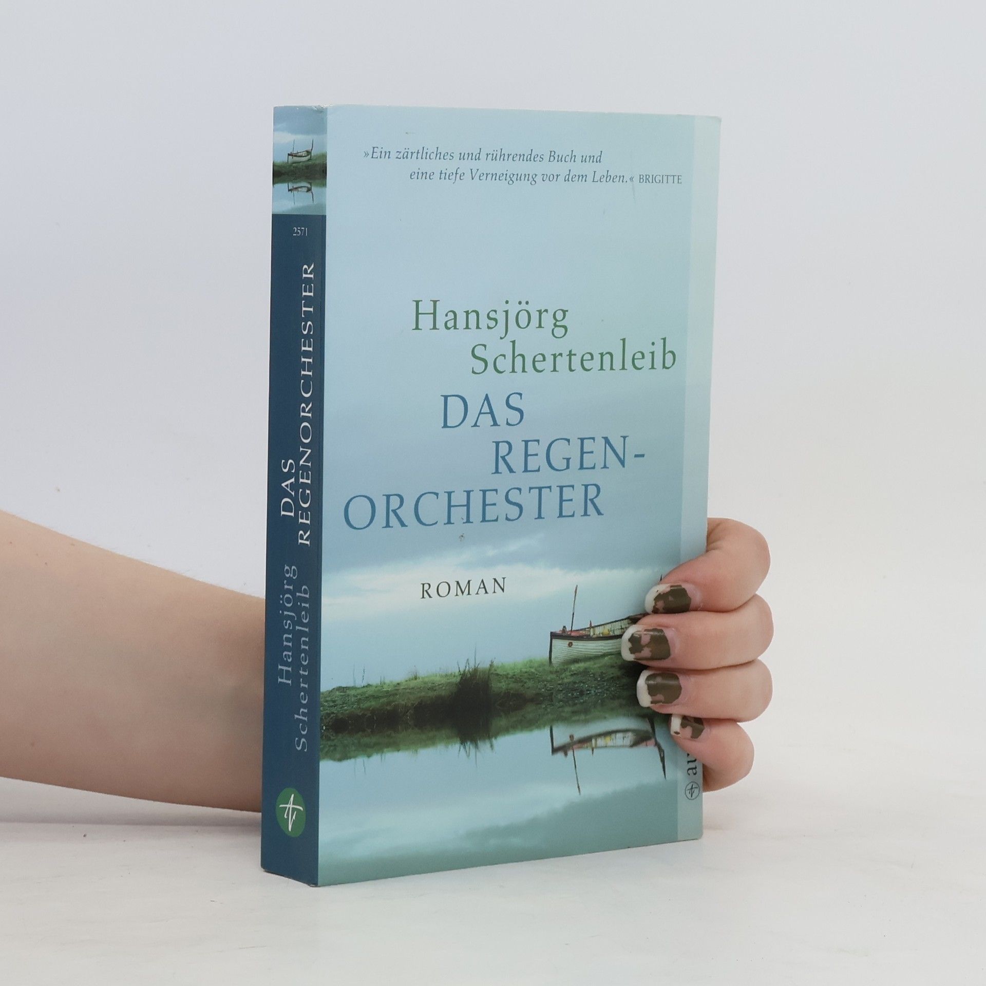 Hansjörg Schertenleib Das Regenorchester