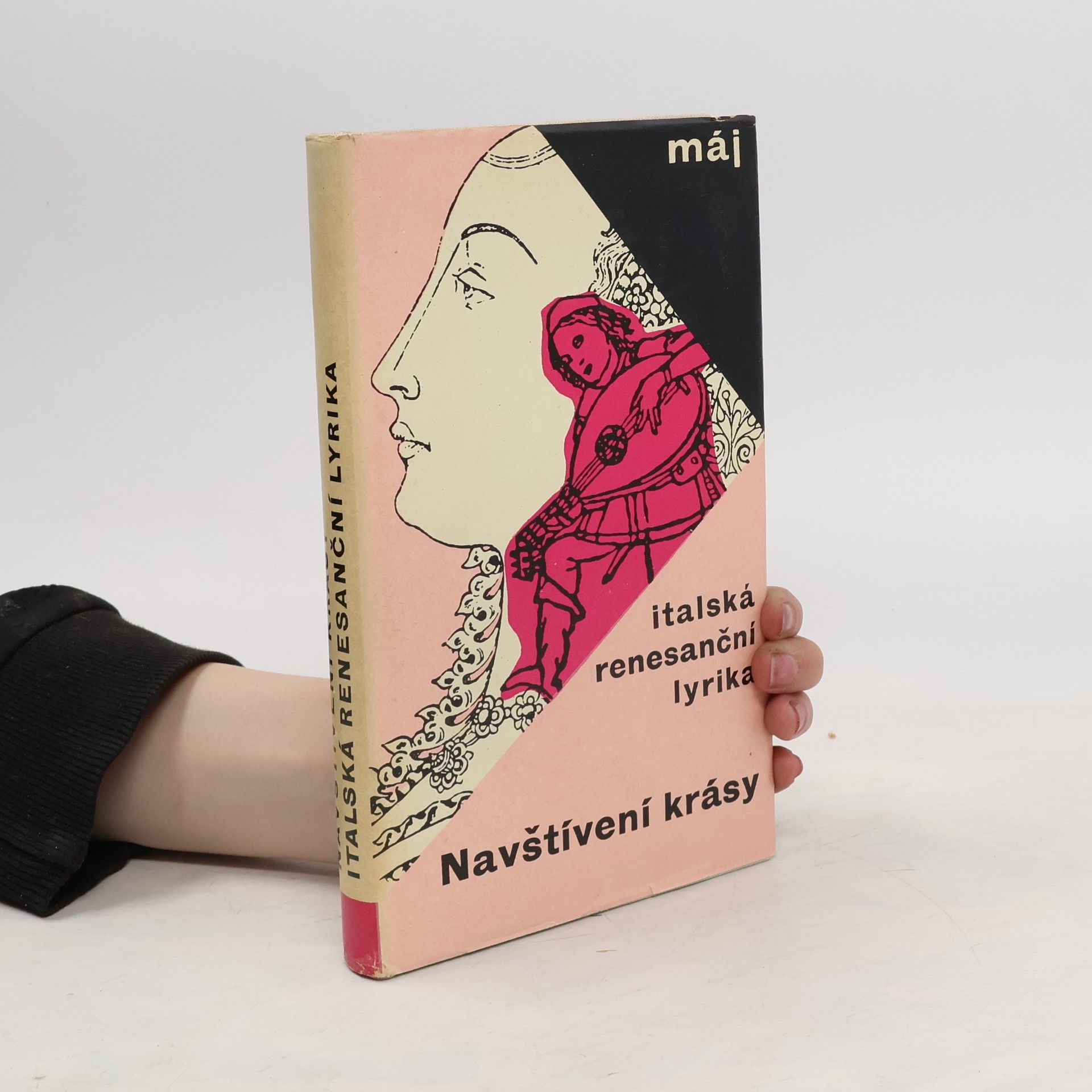 Jan Vladislav Navštívení krásy. Italská renesanční lyrika