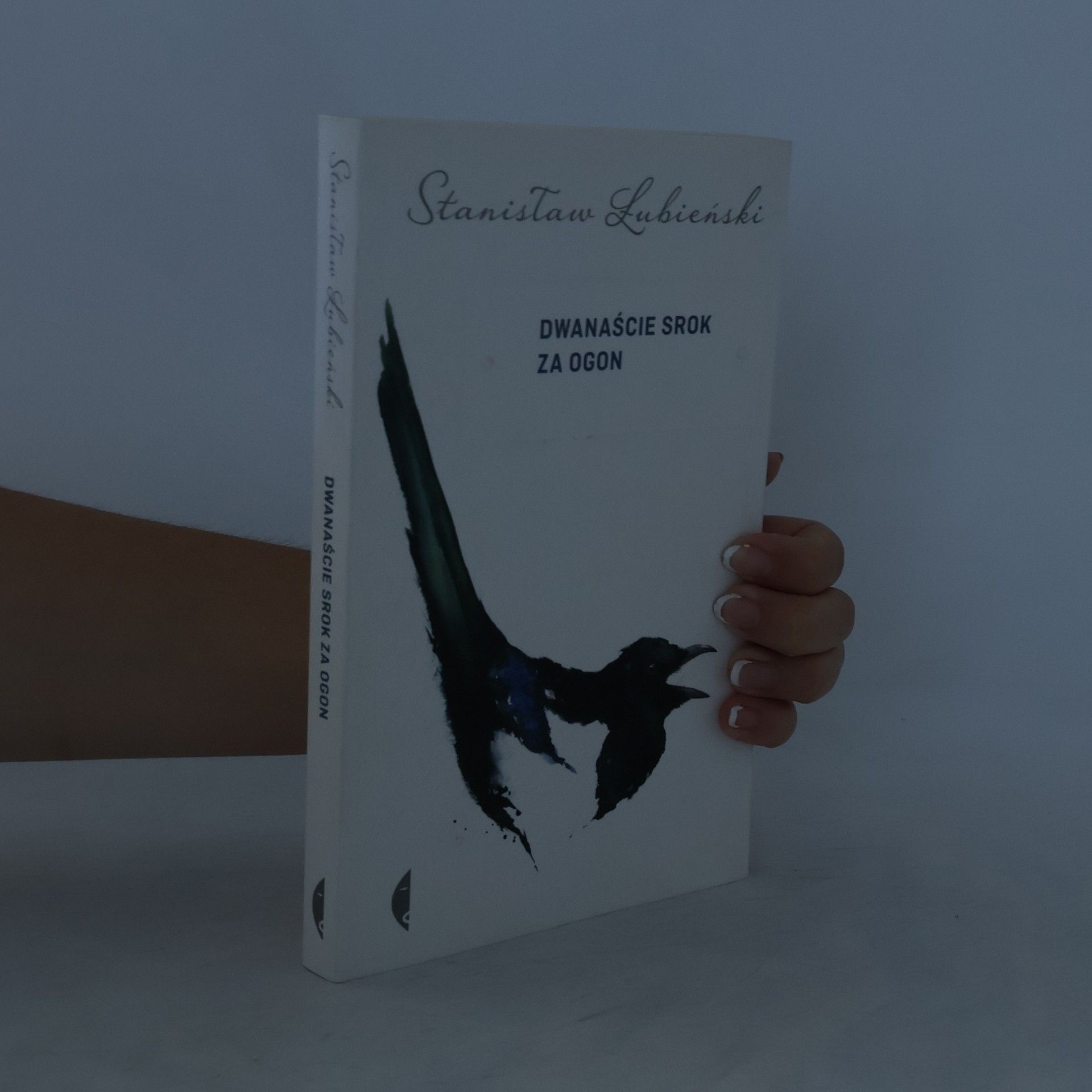 Łubieński Stanisław Dwanaście srok za ogon