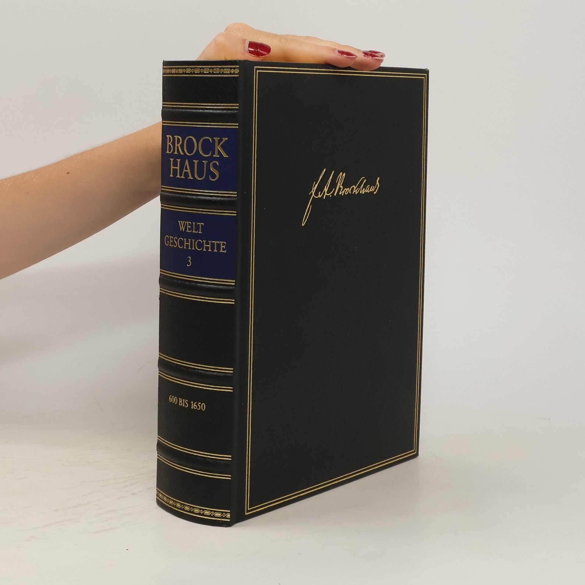 Mathias MünterElfner Brockhaus, die Bibliothek: Um Glaube und Herrschaft (600-1650)