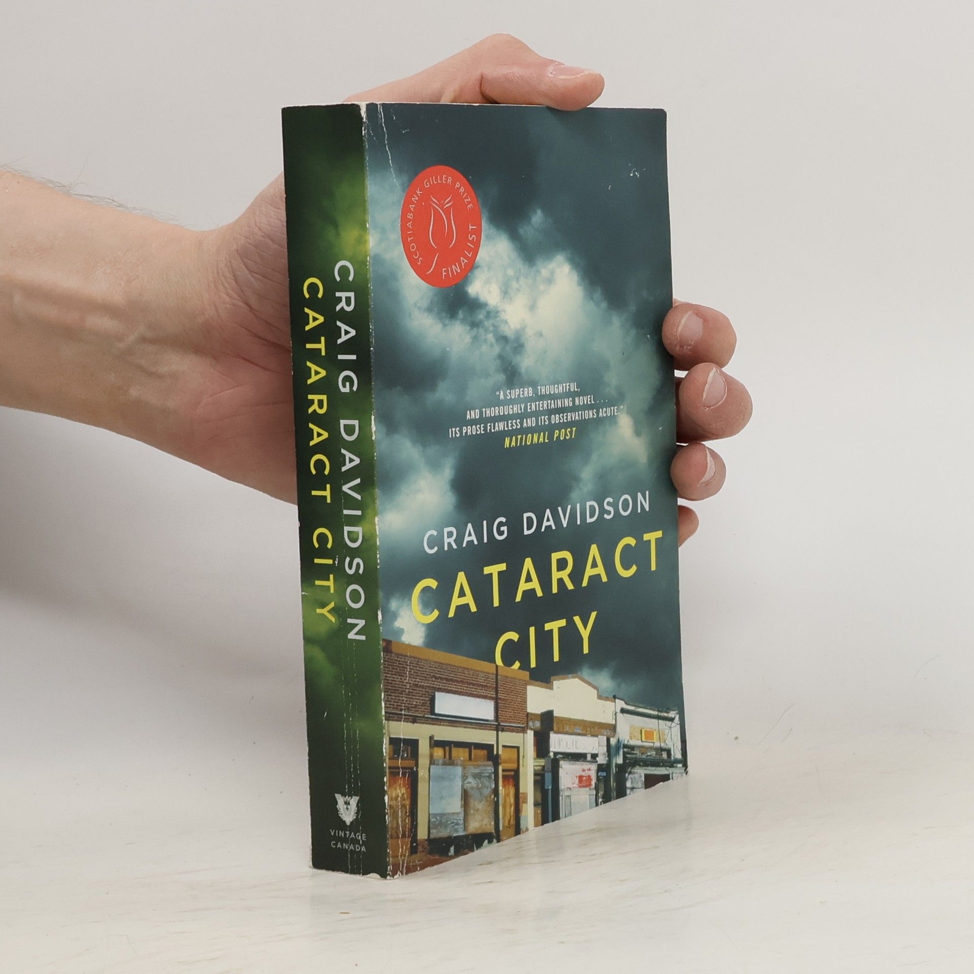 Craig Davidson Cataract City