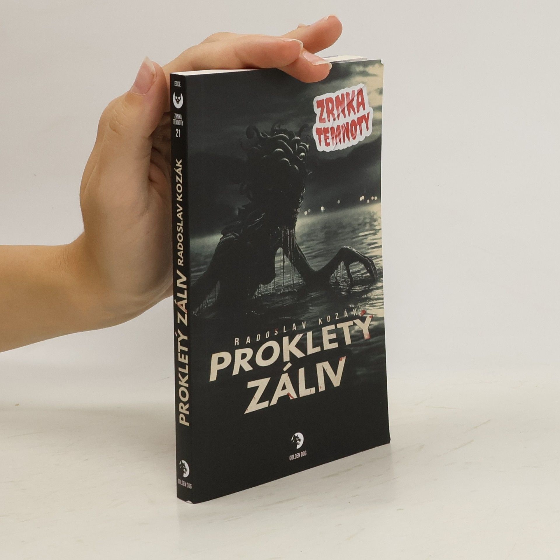 Radoslav Kozák Prokletý záliv