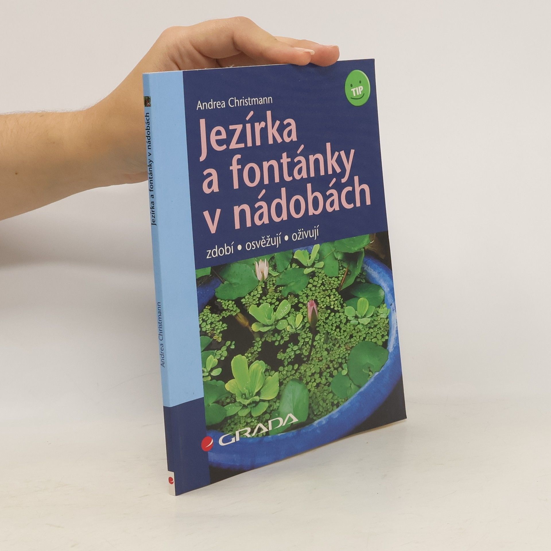 Andrea Christmann Jezírka a fontánky v nádobách : zdobí, osvěžují, oživují