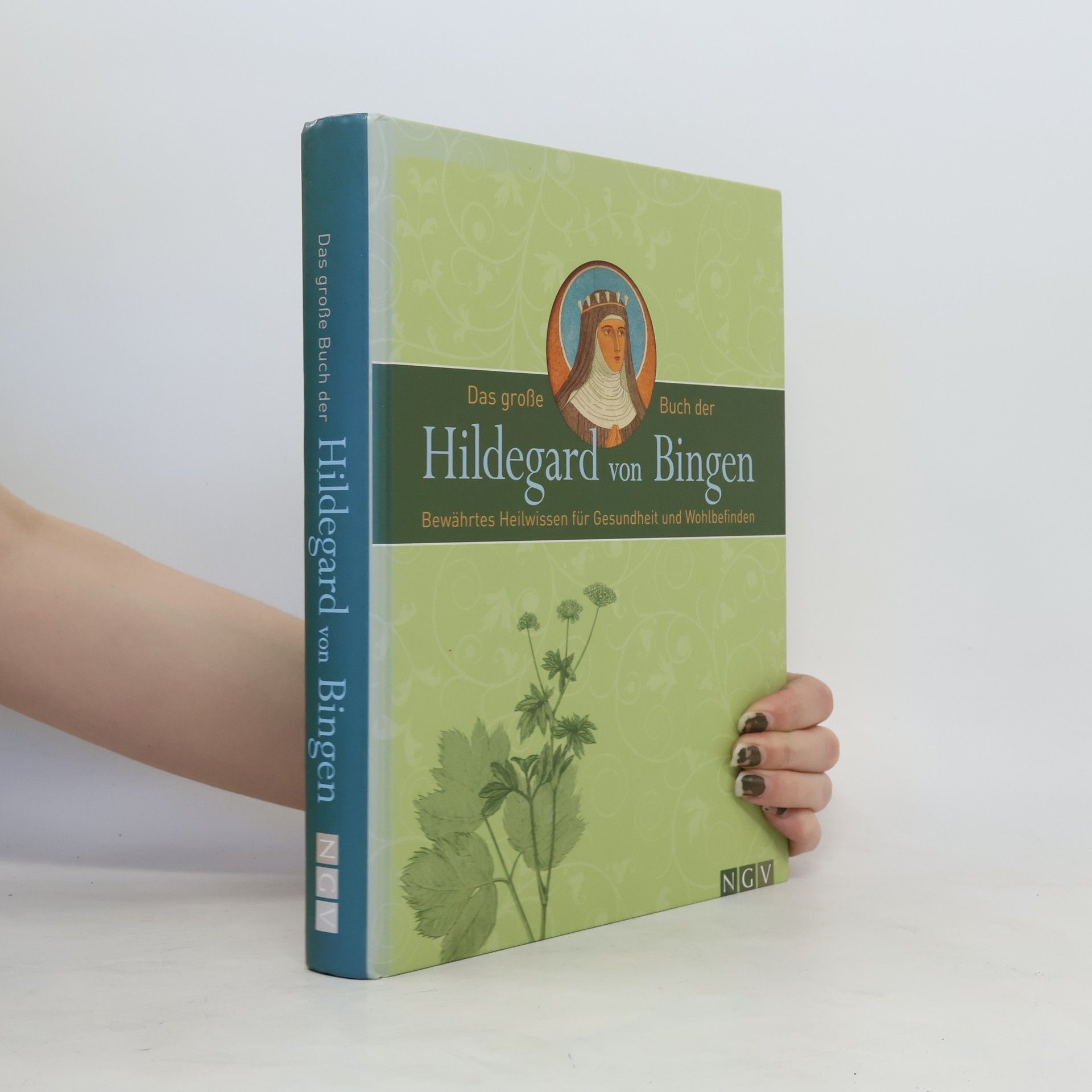 Autorenkollektiv Das große Buch der Hildegard von Bingen