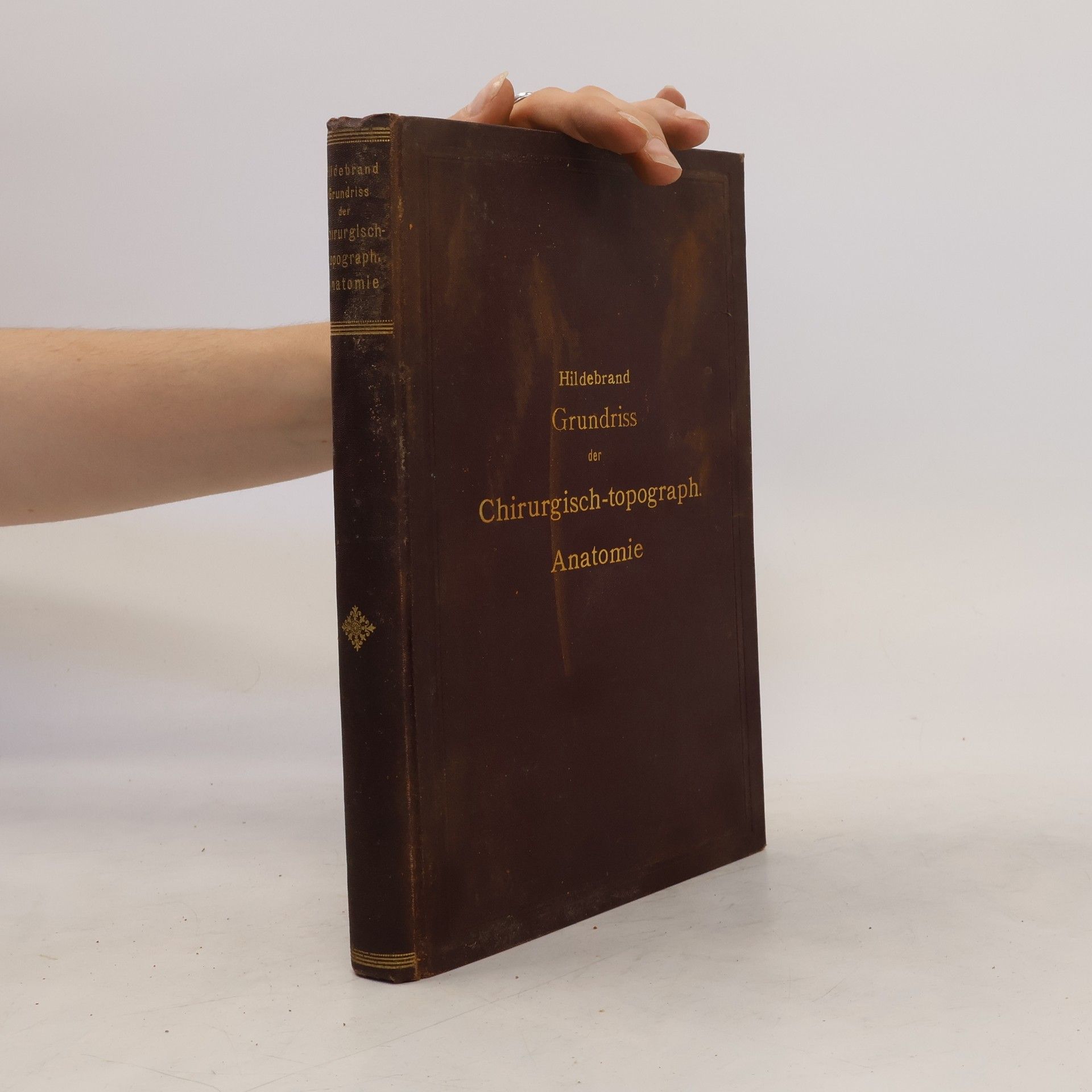 Otto Hildebrand Grundriss der Chirurgisch-topographischen Anatomie