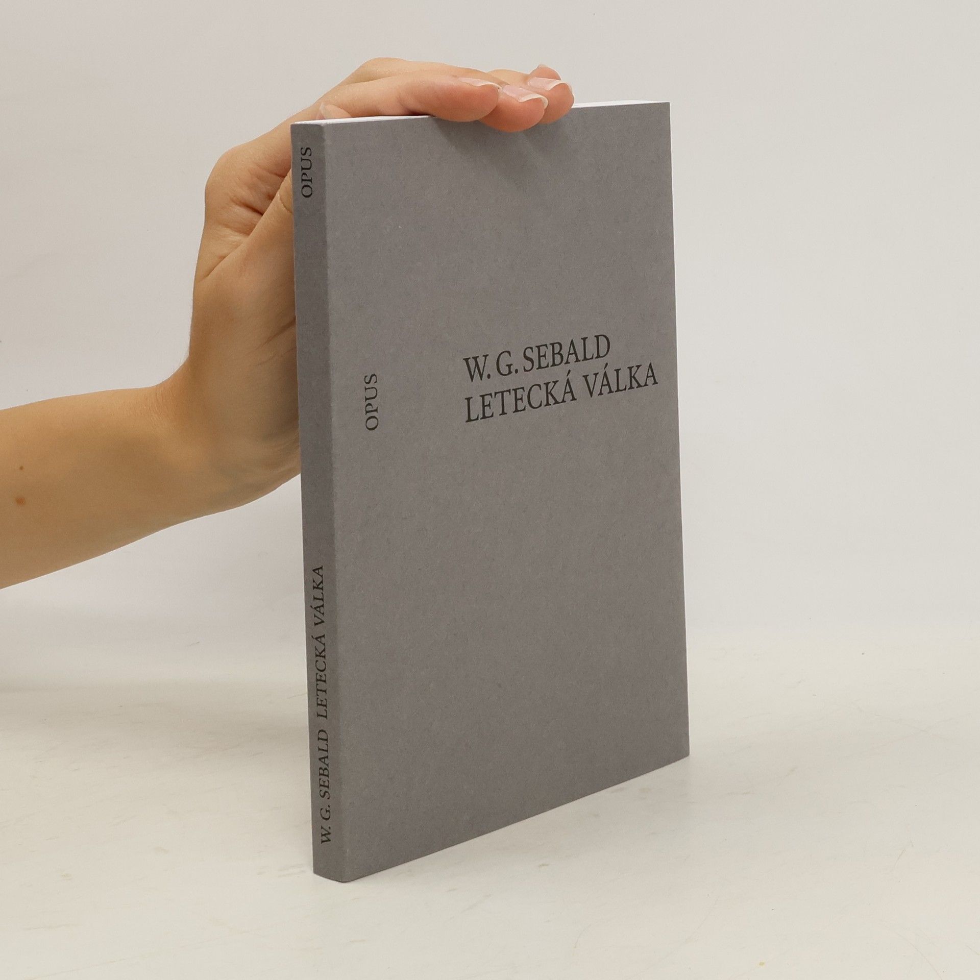 W. G. Sebald Letecká válka a literatura