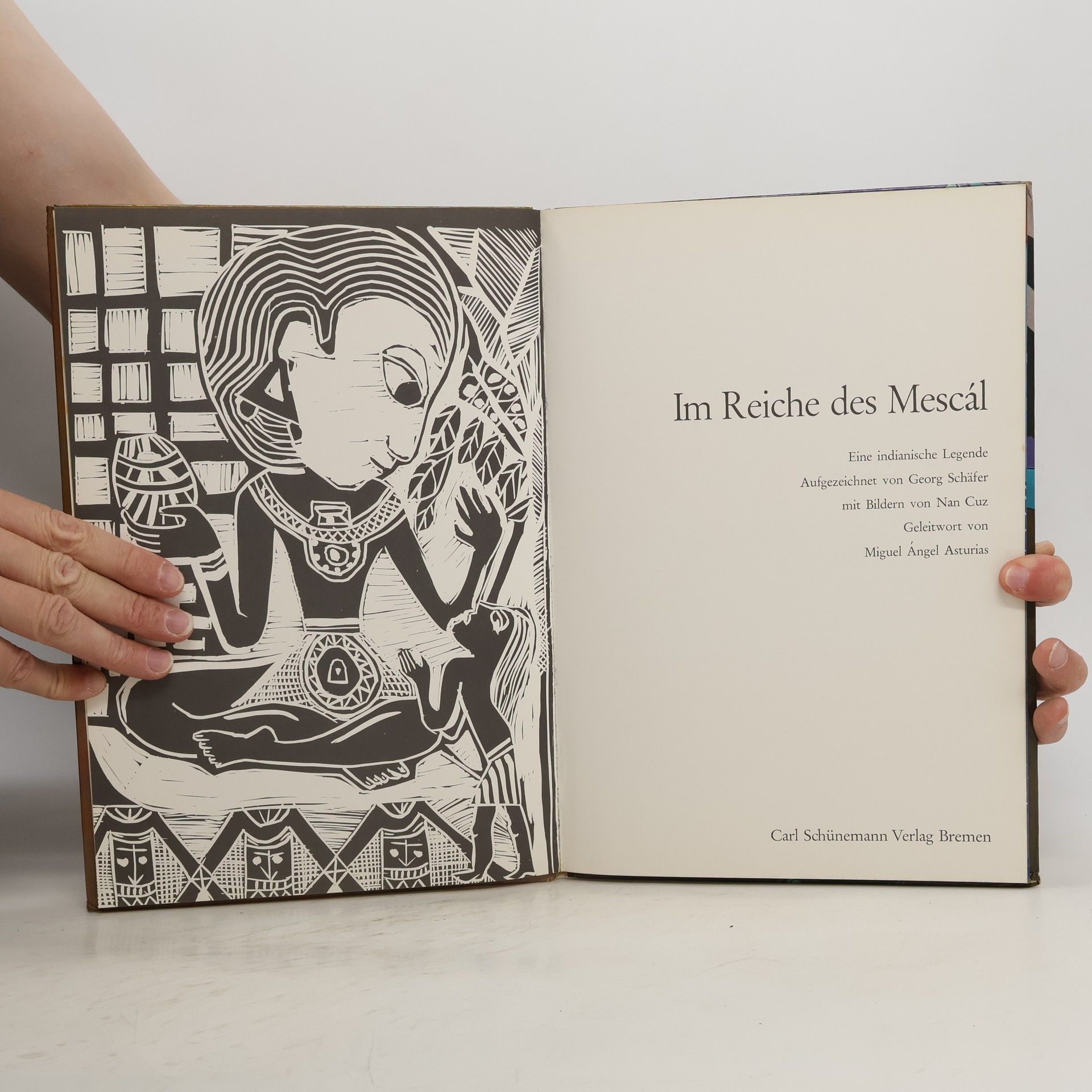 Autorenkollektiv Im Reiche des Mescal