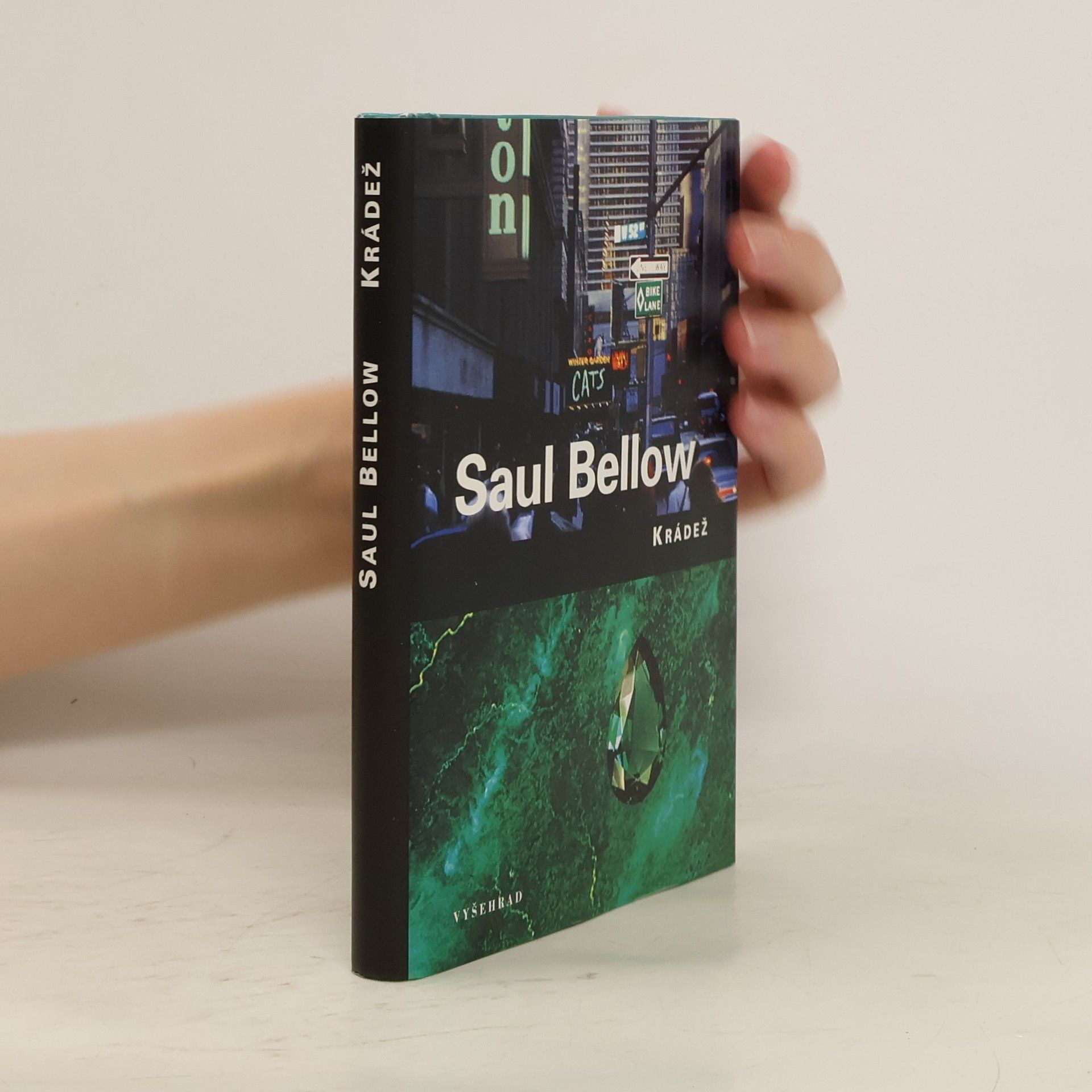 Saul Bellow Krádež