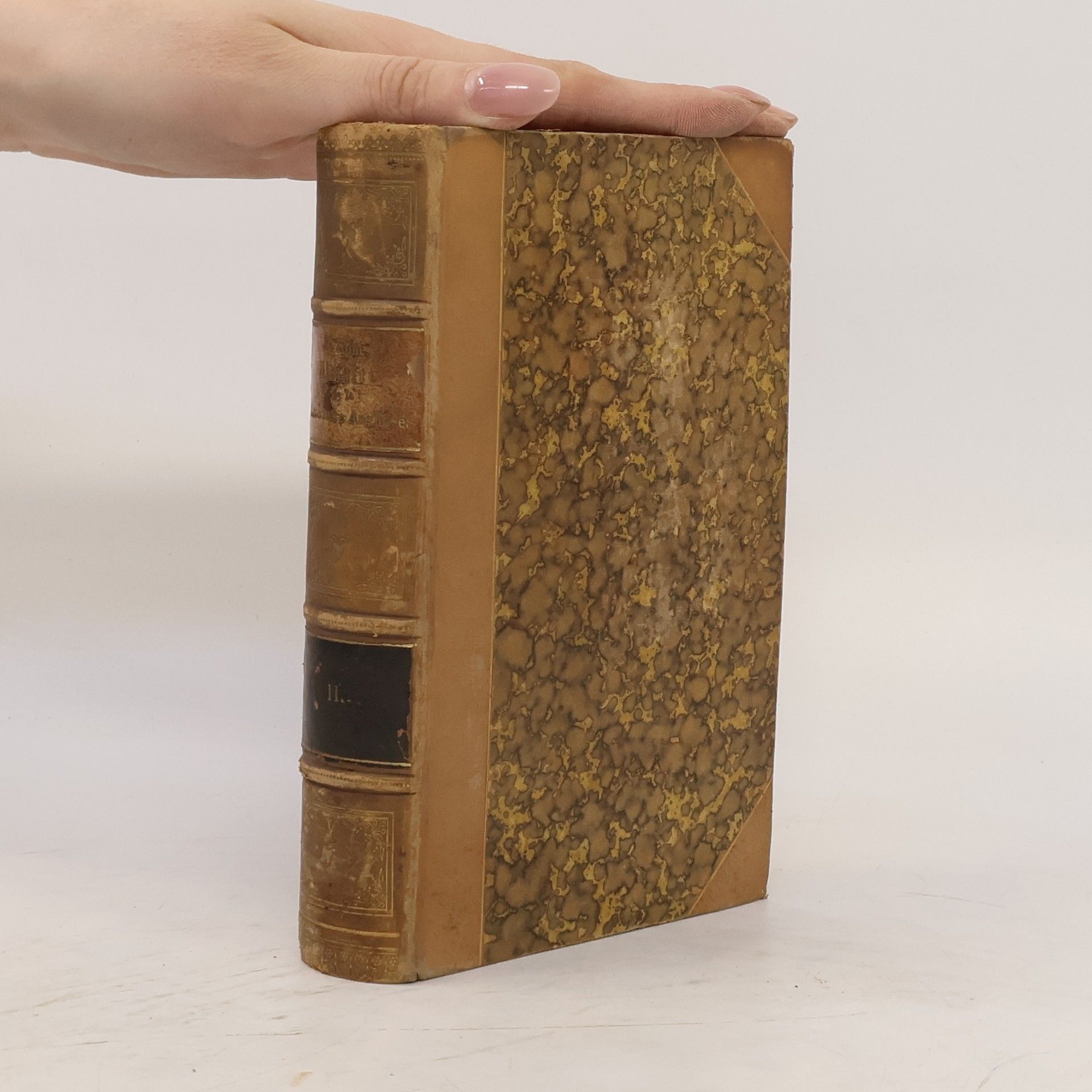 Hippolyte Taine Histoire de la littérature anglaise