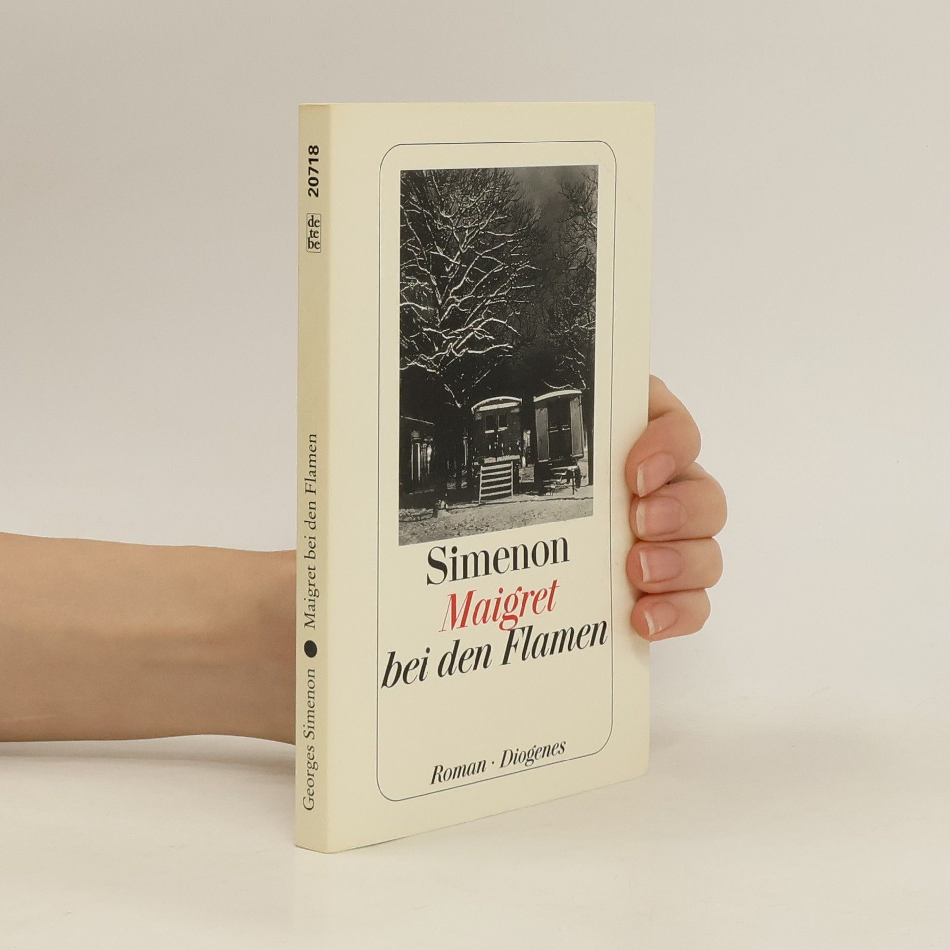 Georges Simenon Maigret bei den Flamen