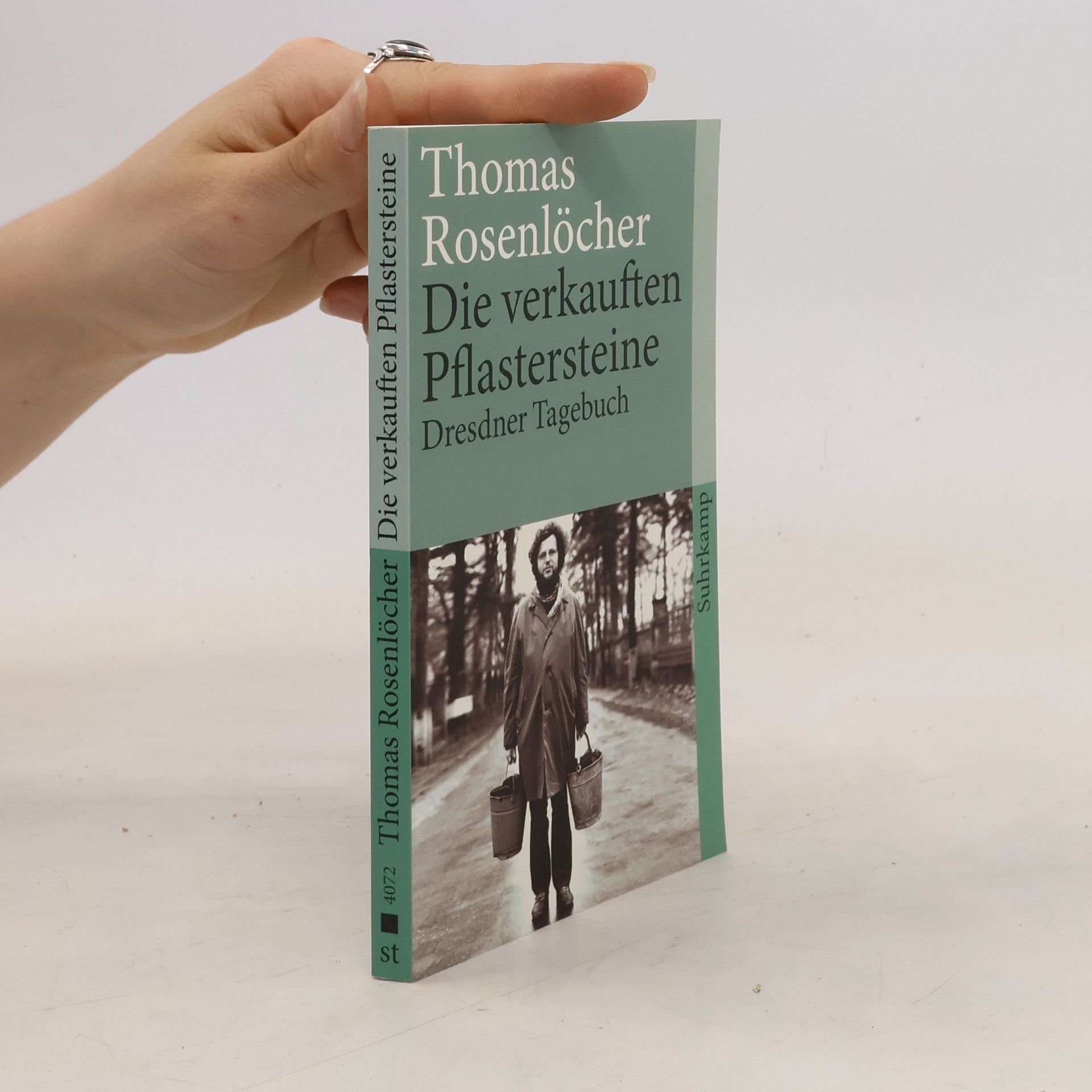 Thomas Rosenlöcher Die verkauften Pflastersteine
