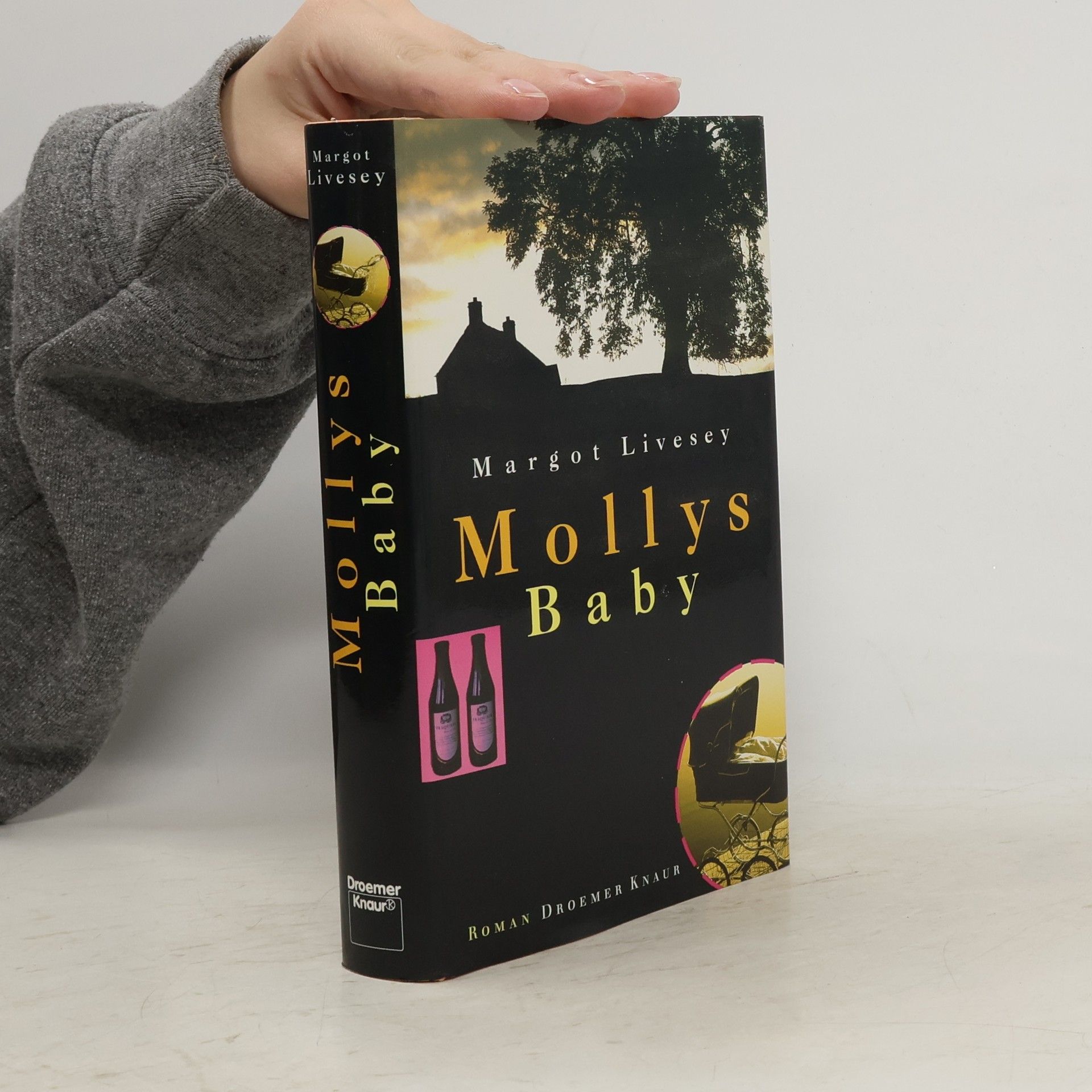 Margot Livesey Mollys Baby. Roman