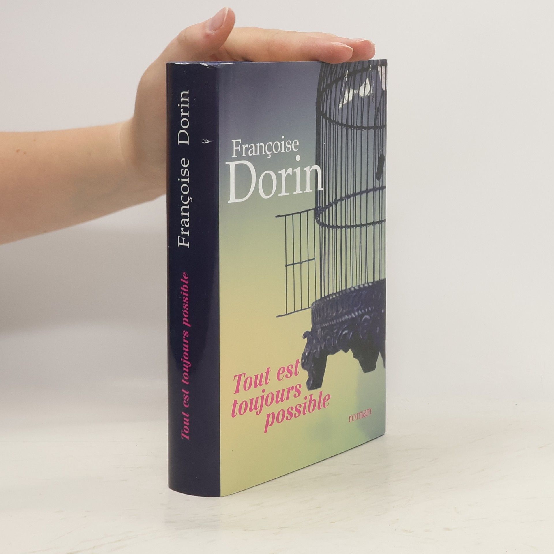 Françoise Dorin Tout est toujours possible roman