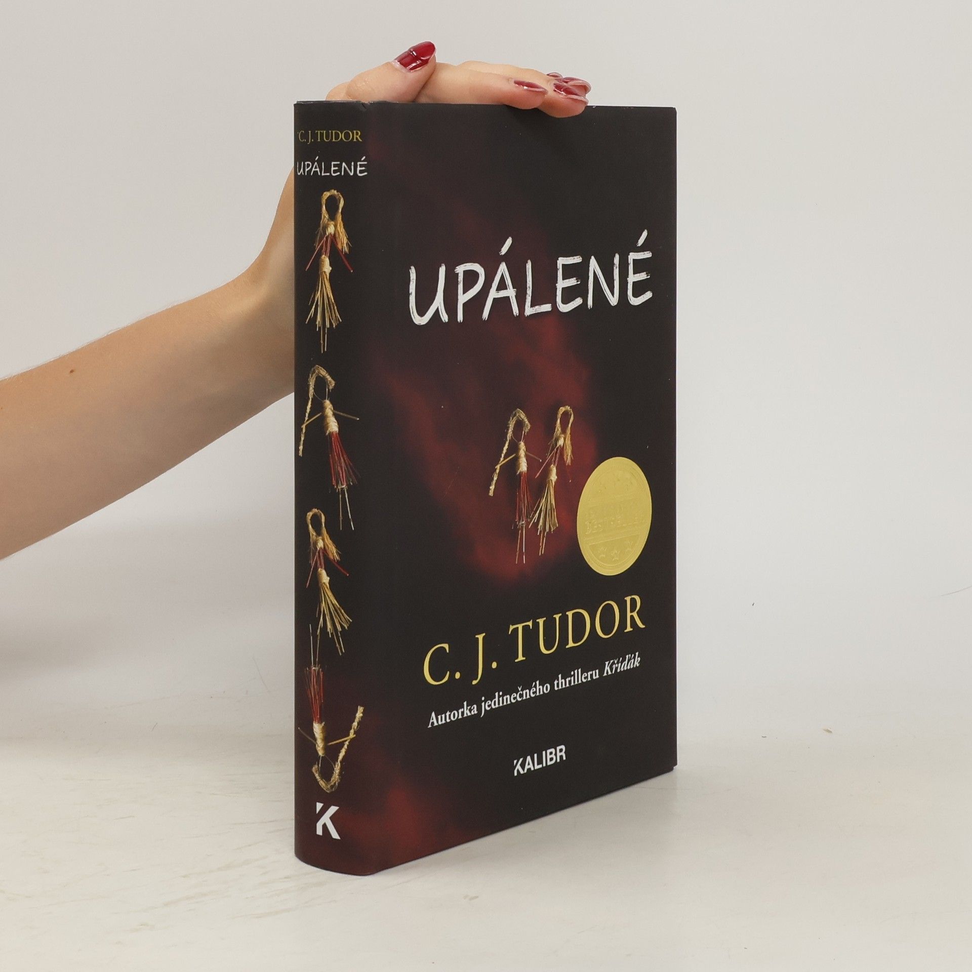 C. J. Tudor Upálené