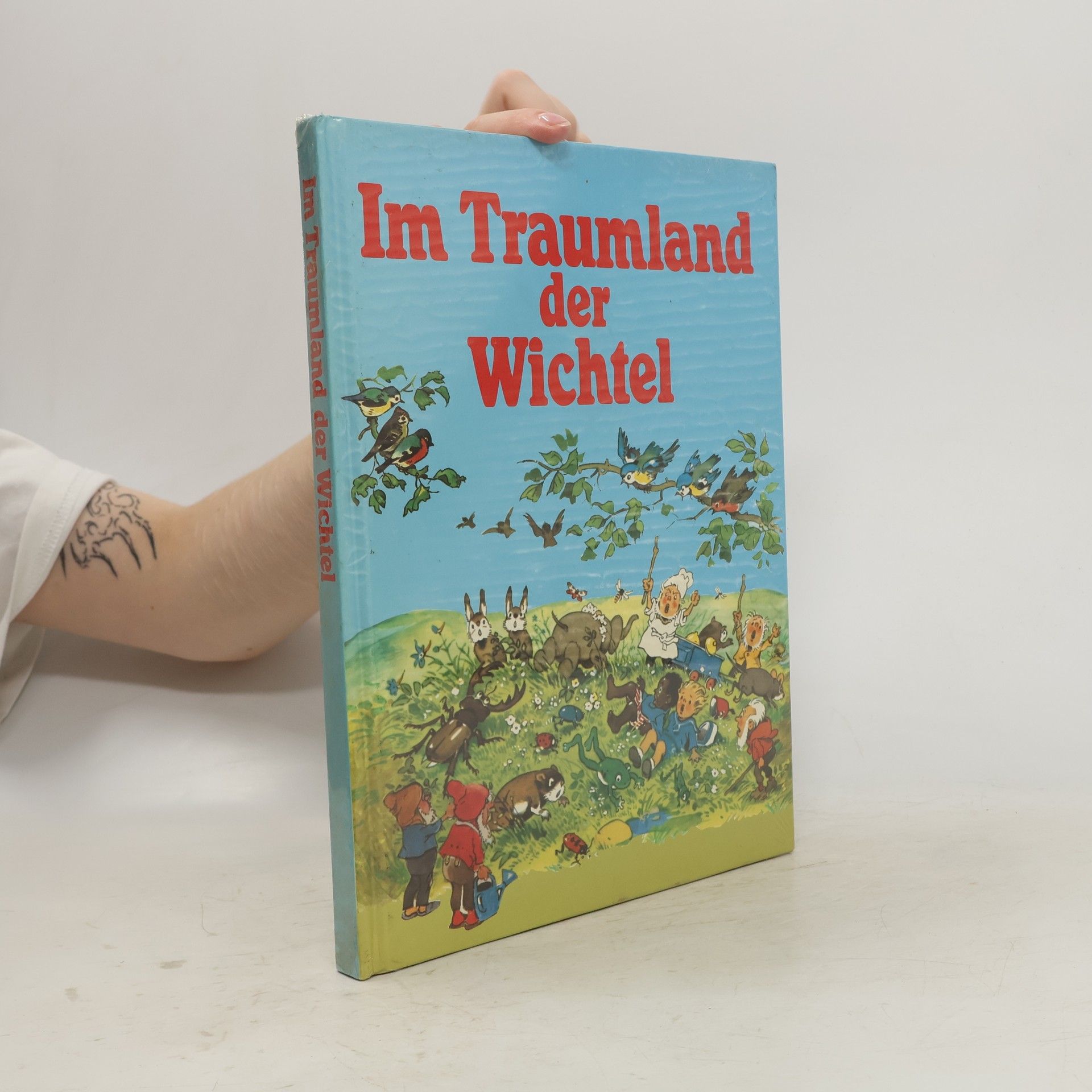 kolektiv Im Traumland der Wichtel