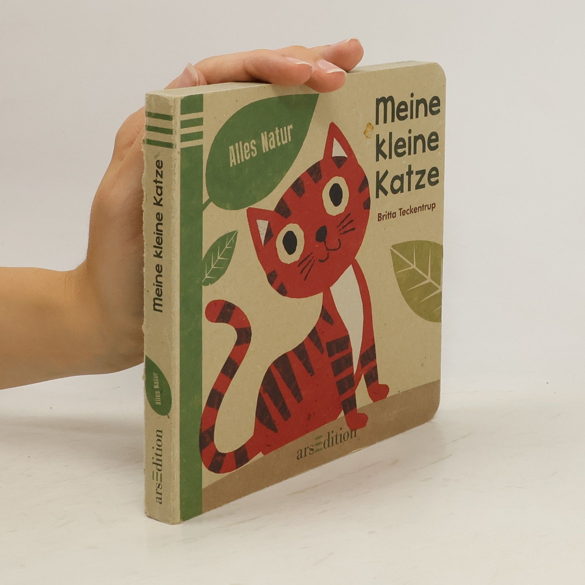 Britta Teckentrup Alles Natur - Meine kleine Katze