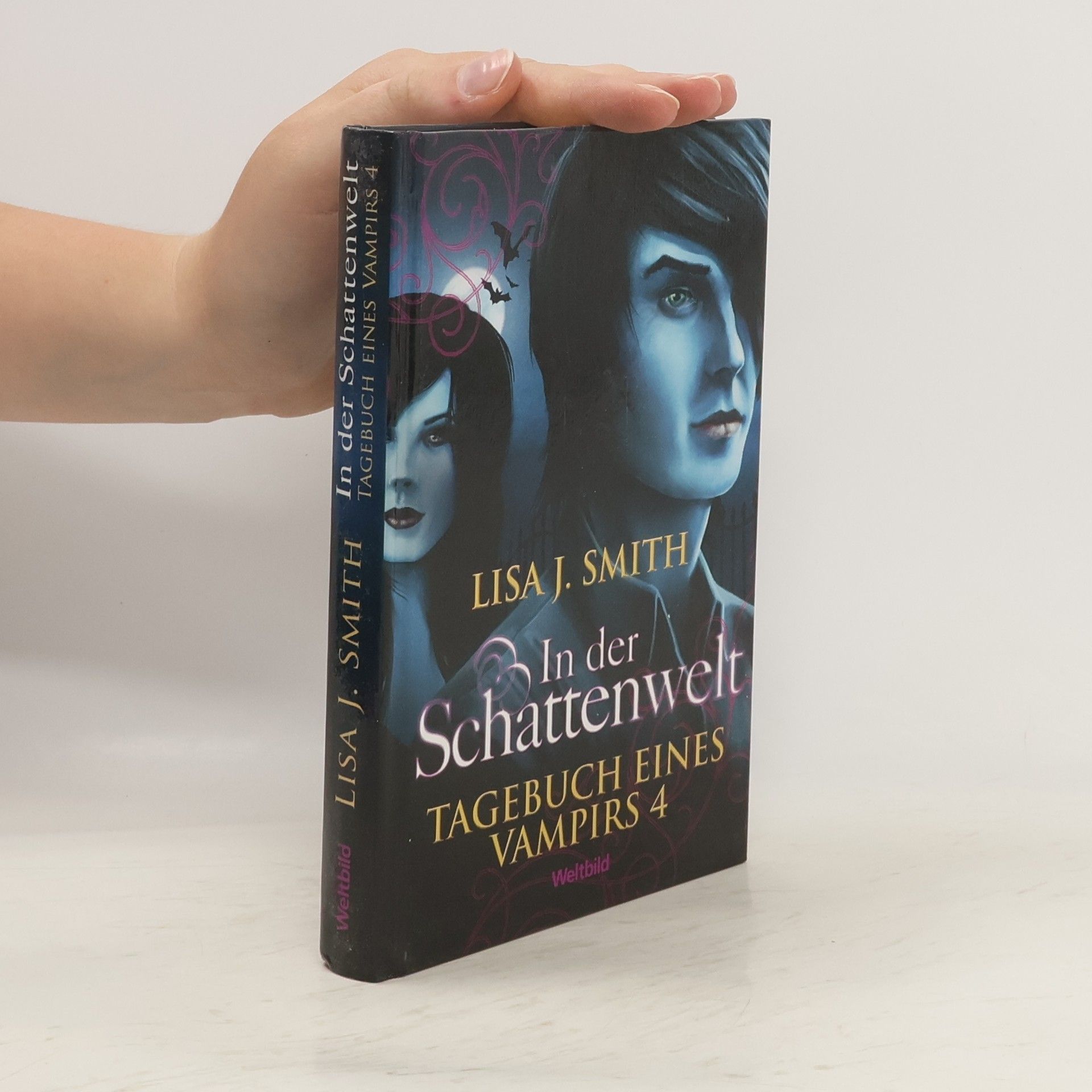 L. J. Smith In der Schattenwelt. Tagebuch eines Vampirs 4