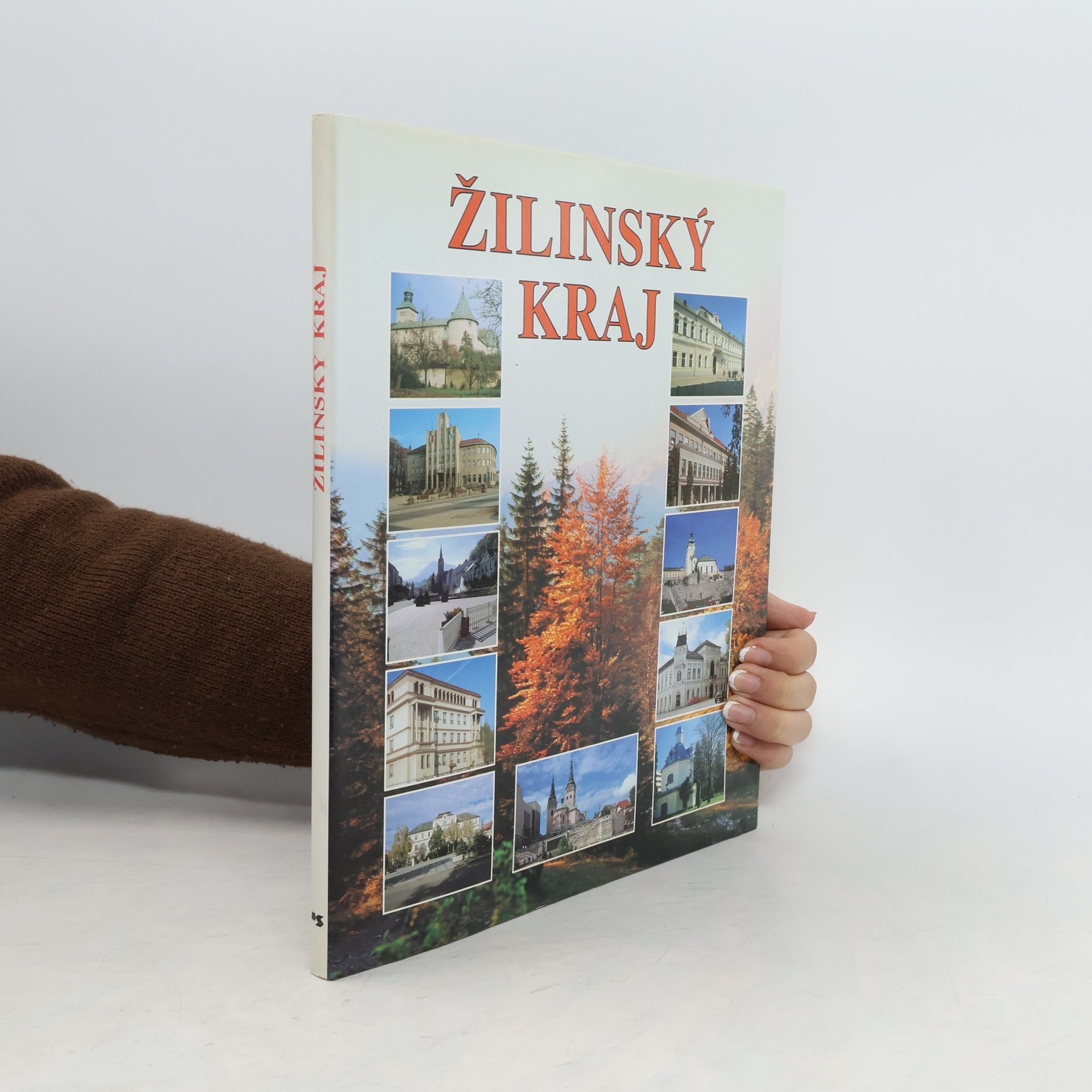 Peter Štanský Žilinský kraj