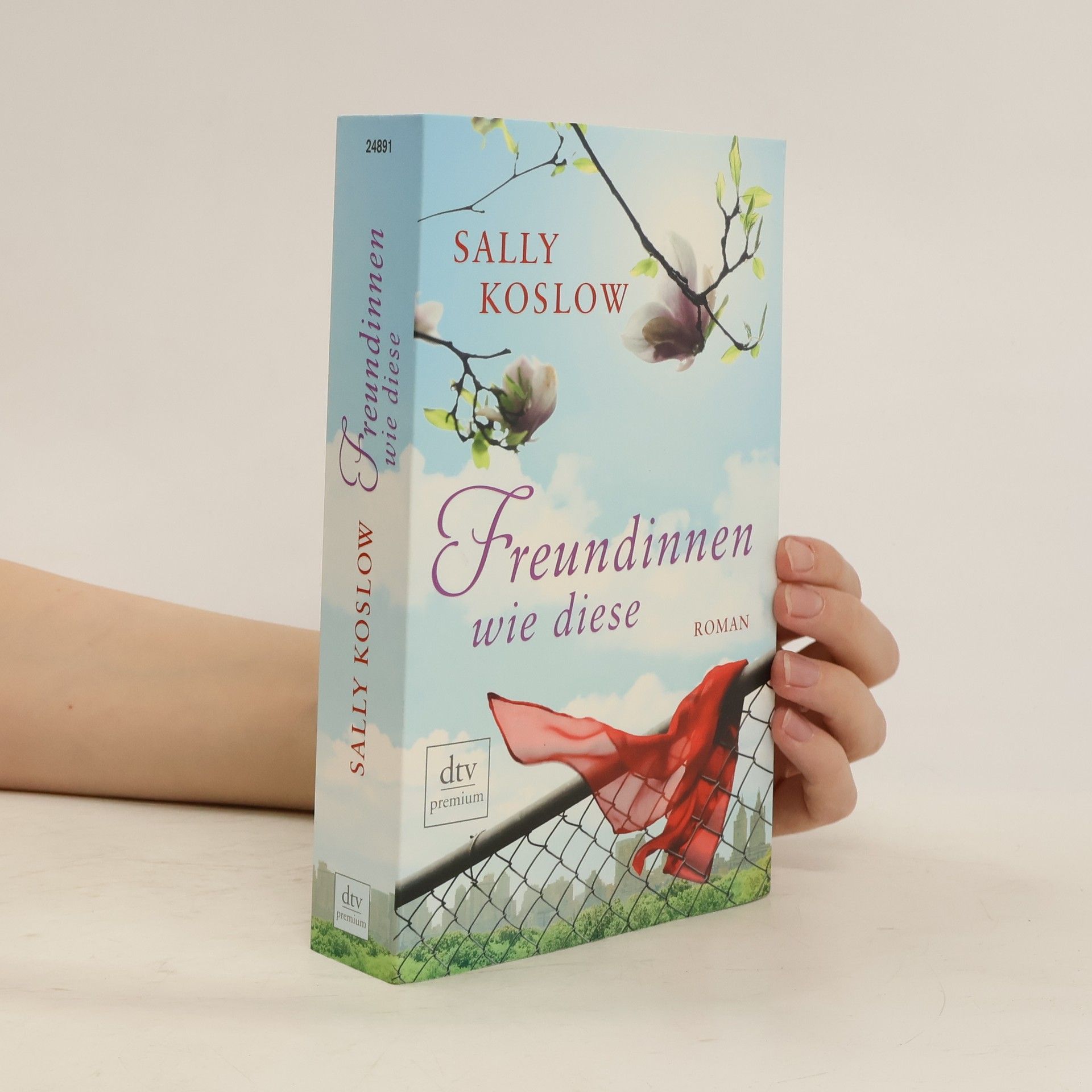 Sally Koslow Freundinnen wie diese
