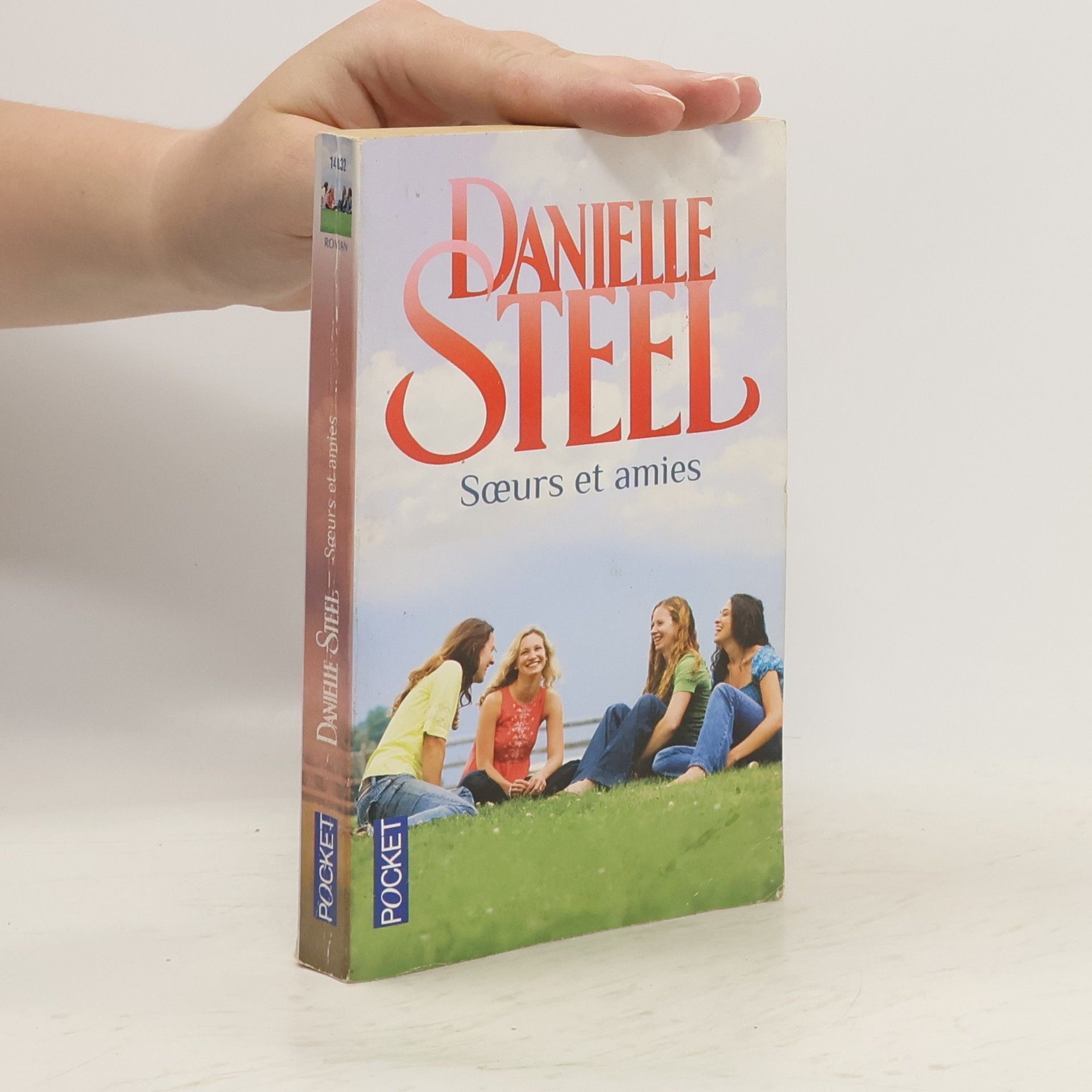 Danielle Steel Soeurs et amies