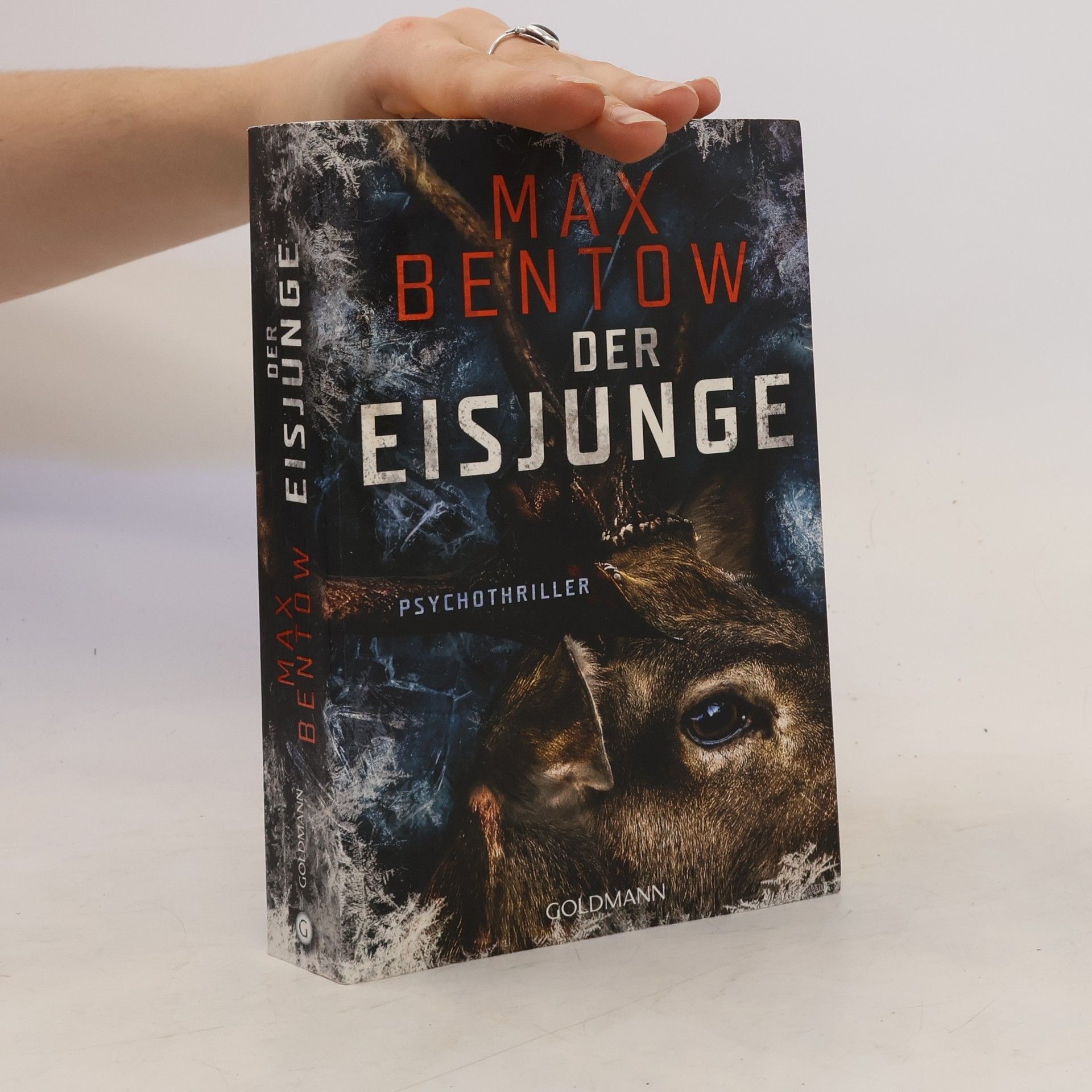 Max Bentow Der Eisjunge