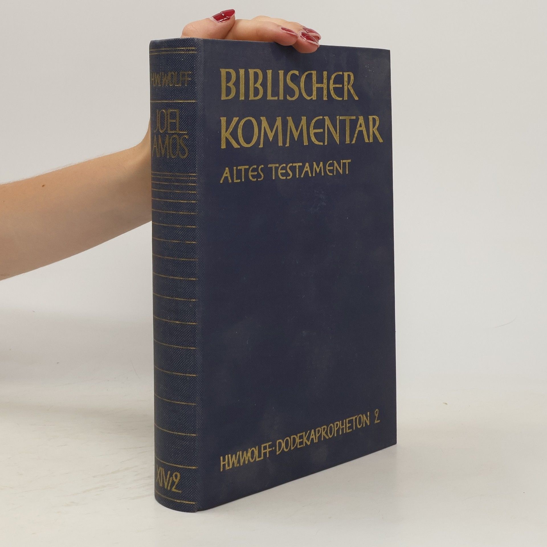 Joel Amos Biblischer Kommentar. Altes Testament