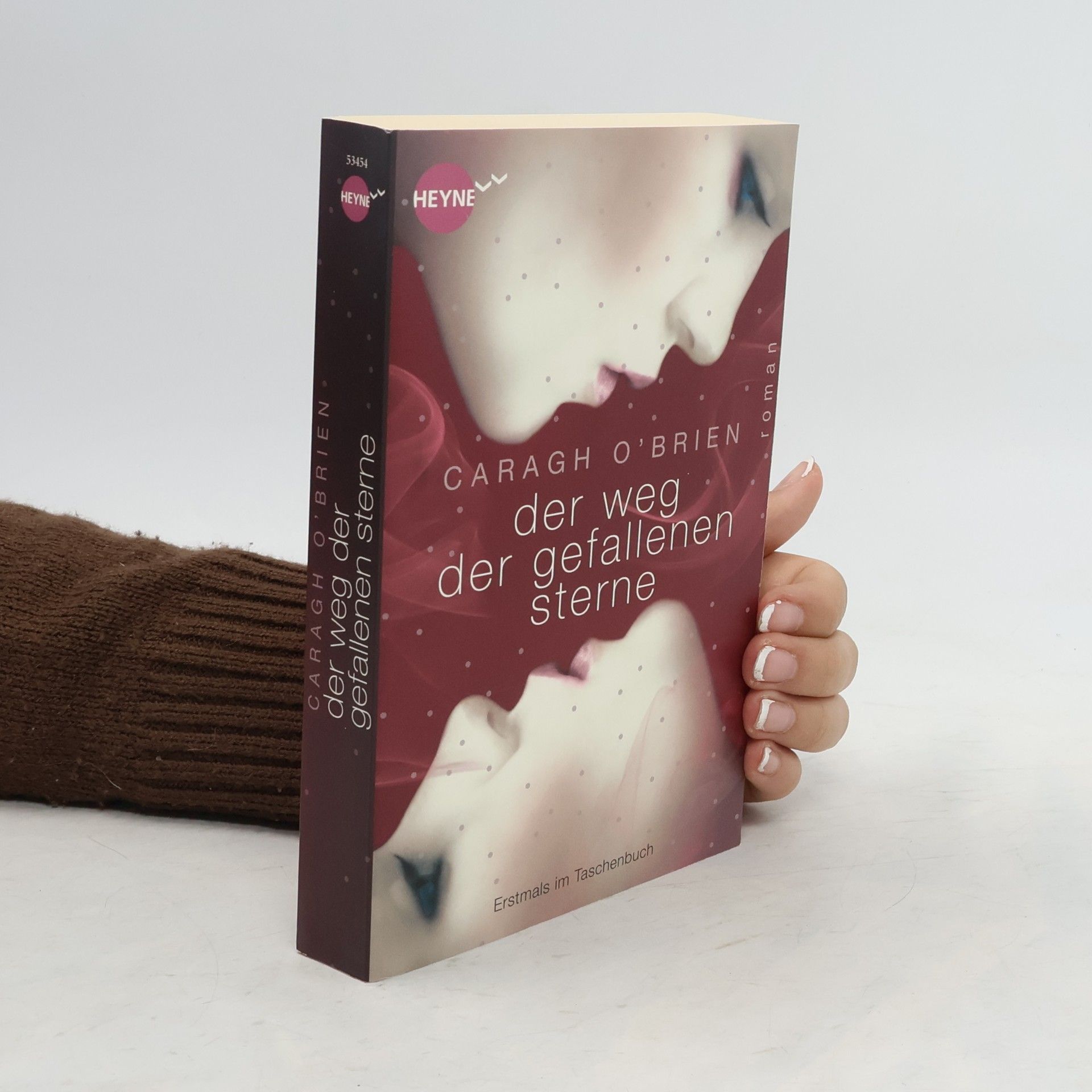 Caragh O. Brien Der Weg der gefallenen Sterne