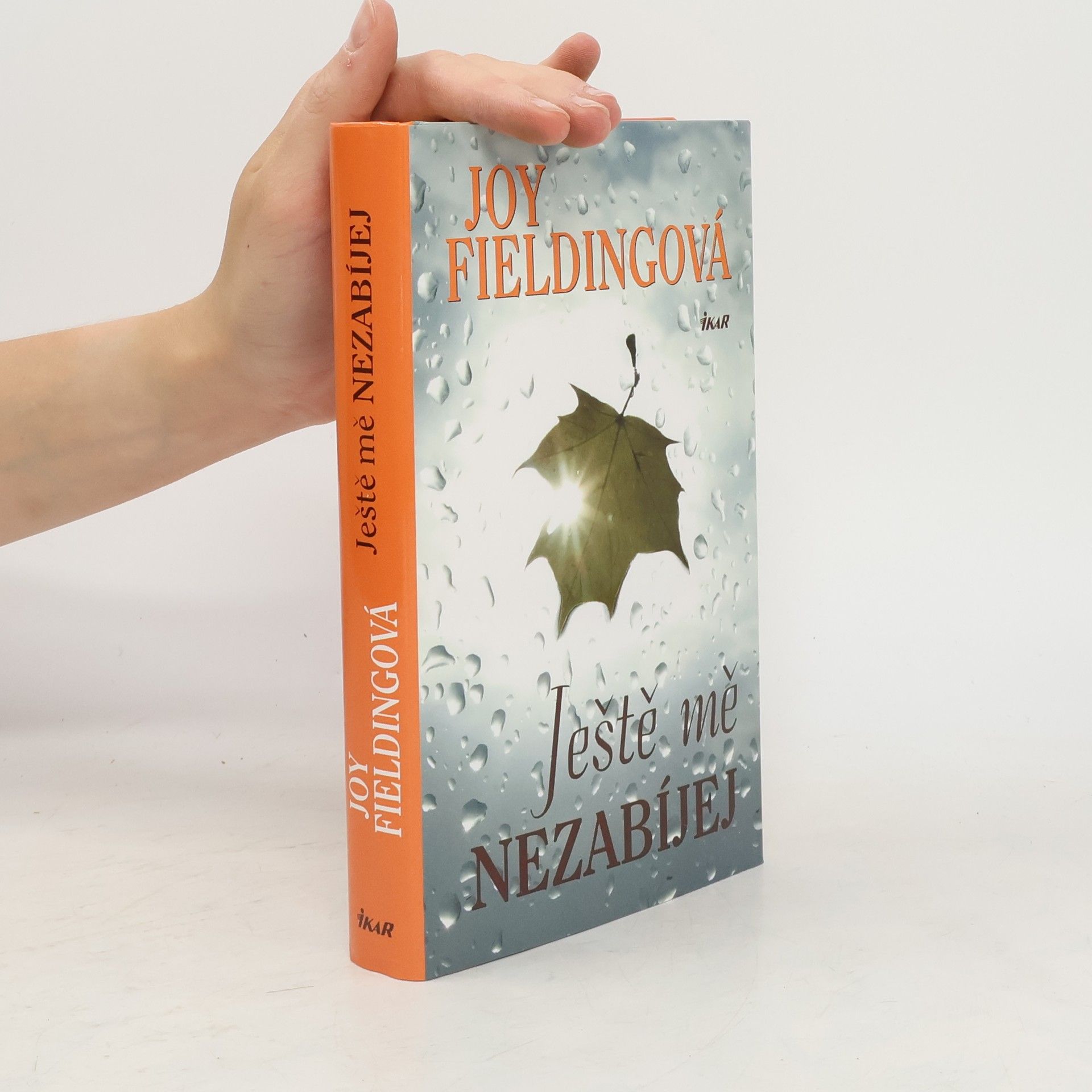 Joy Fielding Ještě mě nezabíjej