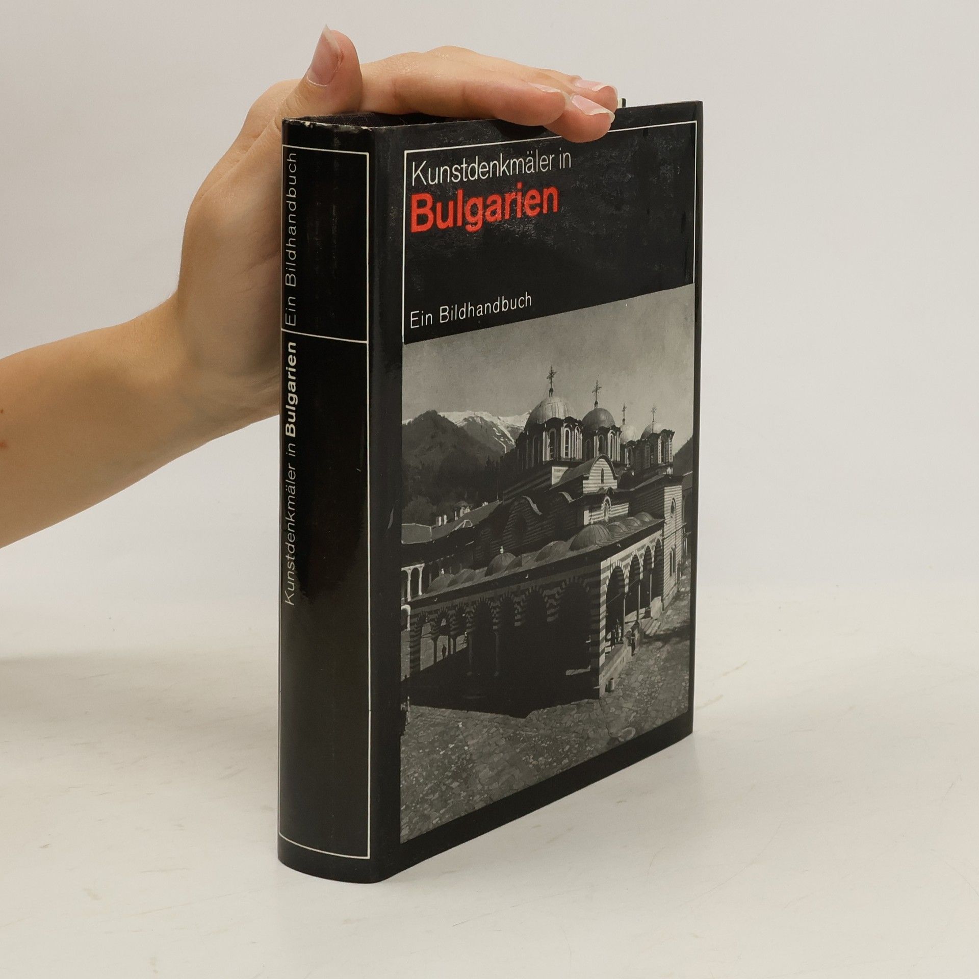 Jerzy Zygmunt Łoziński Kunstdenkmäler in Polen. Ein Bildhandbuch