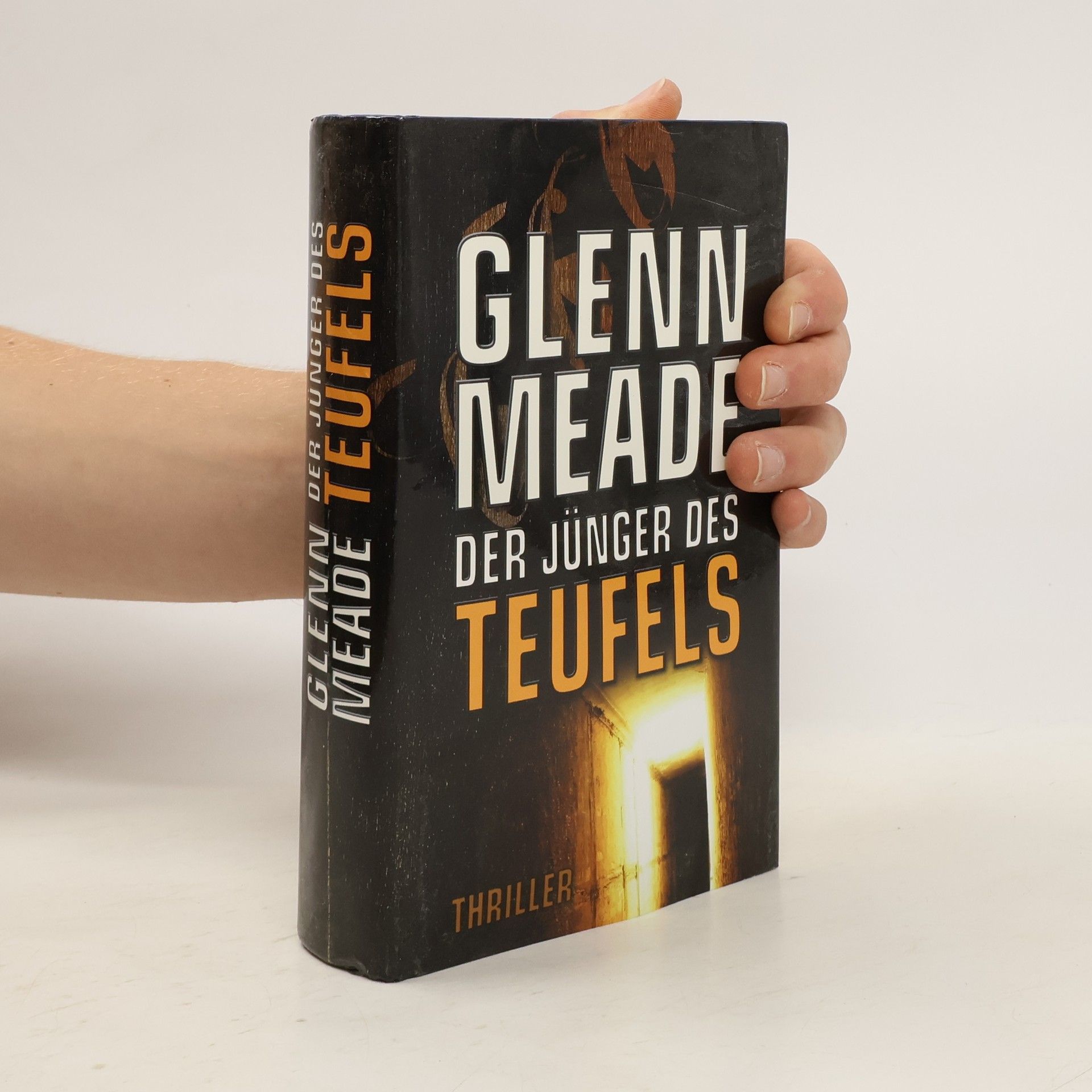 Glenn Meade Der Jünger des Teufels