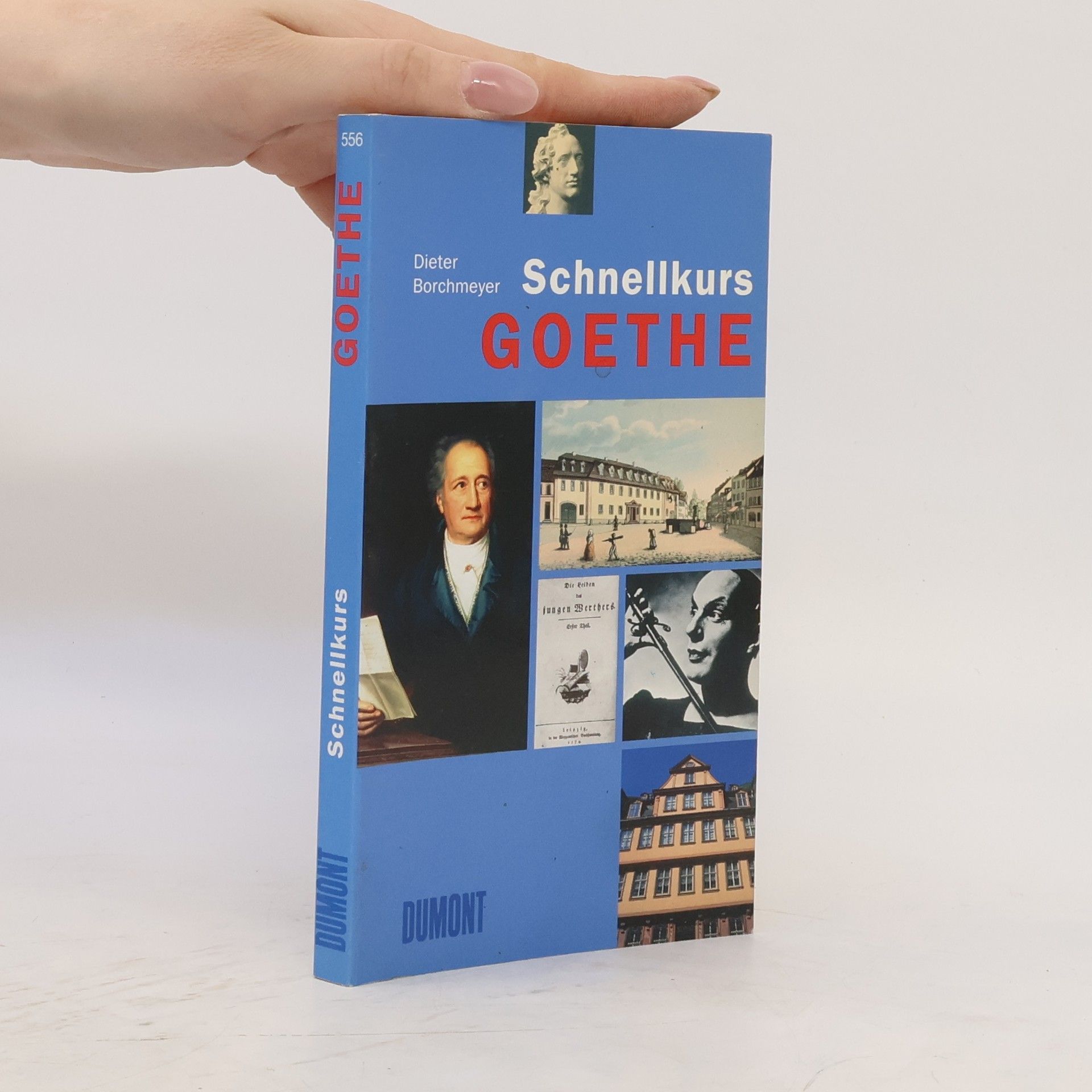 Dieter Borchmeyer Goethe
