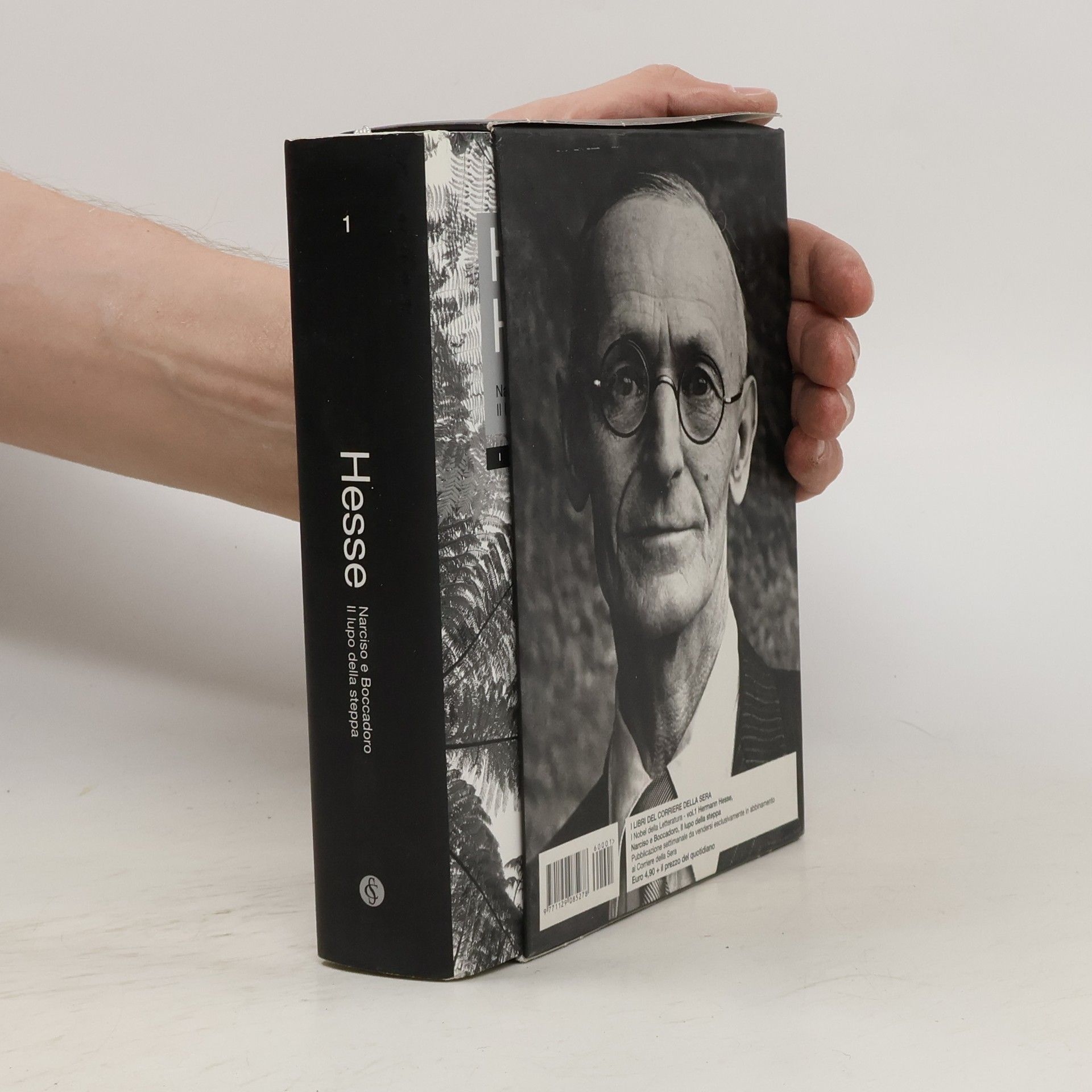 Hermann Hesse Narciso e Boccadoro. Il lupo della steppa