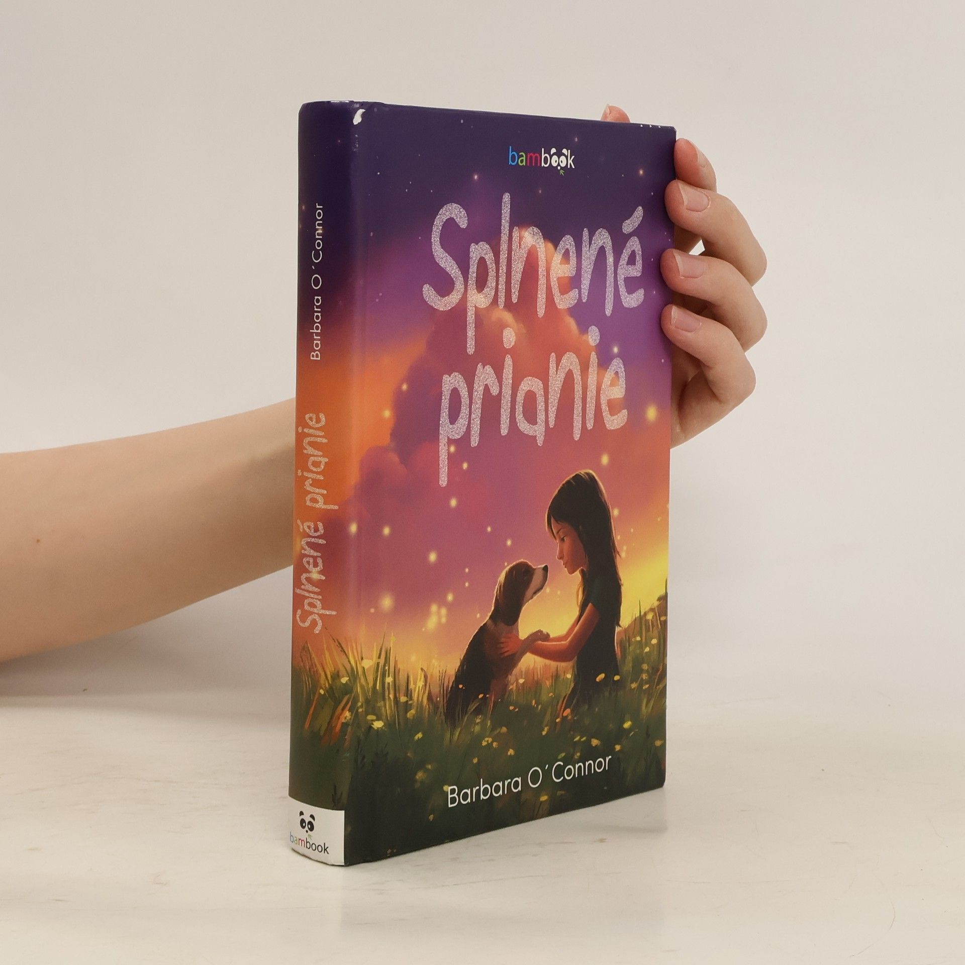 Barbara O. Connor Splnené prianie